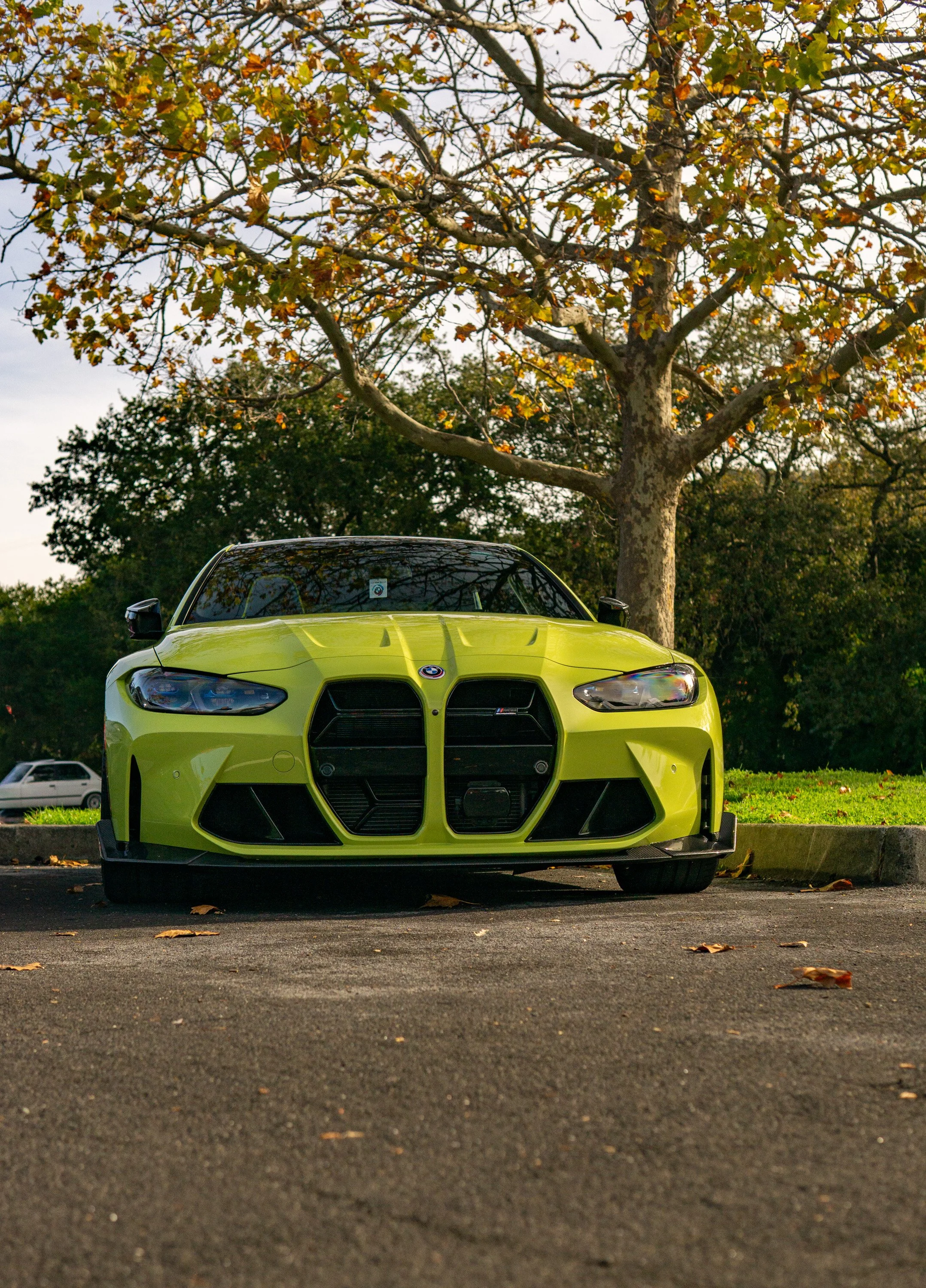 LoganSinger_PerspectivesphotoschoolPortfolio (8 of 30).jpg