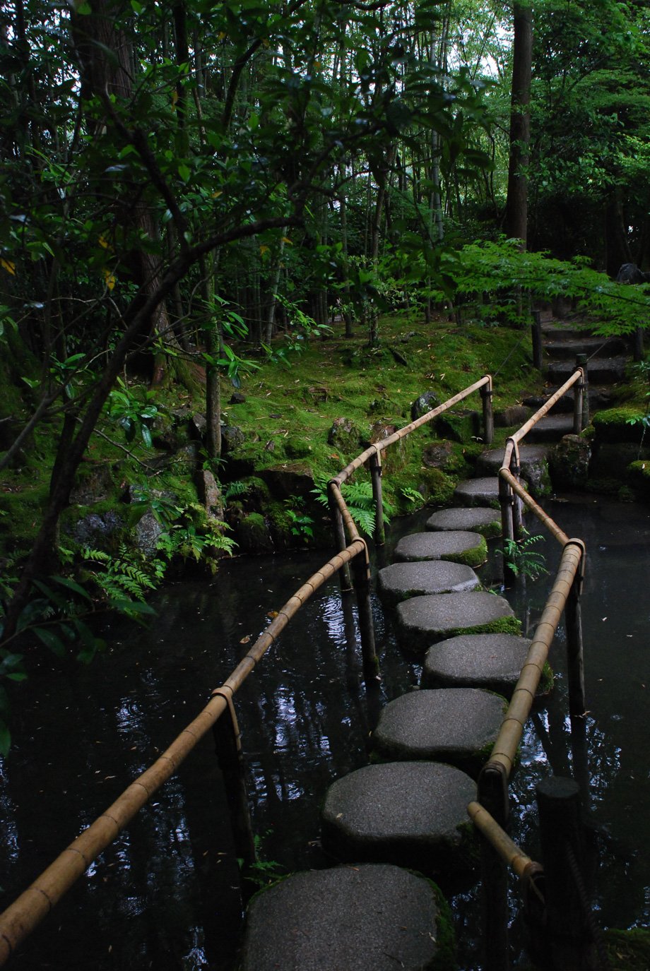 SylvieWebsite_PerspectivesPhosoSchool (20 of 37).jpg