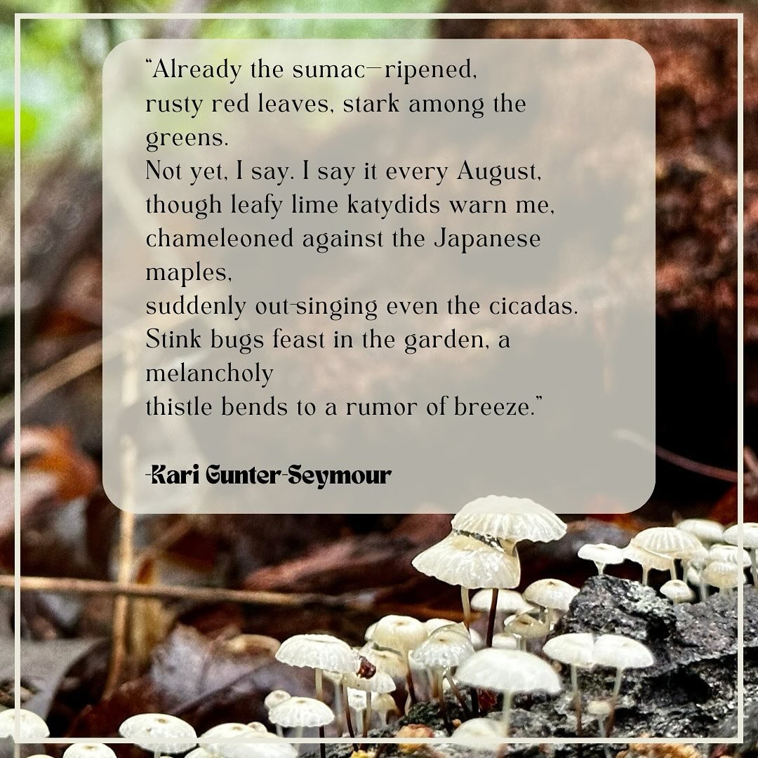 August. We are deep in the throes of late and verdant summer. Slow days of reading, daydreaming, popsicles and playdates. We aren&rsquo;t in any rush. 

And in the spirit of slowing down, we are moving into Fall term this year with intention and thou