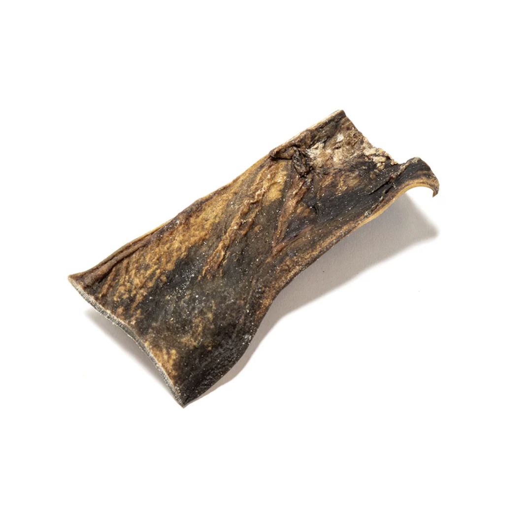 Camel Skin
