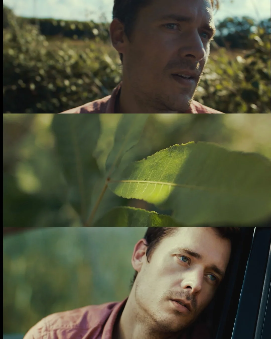 A couple more frames from Nightflower. I forgot to mention in the last post that this was a one man show starring Jonathan Flanders.