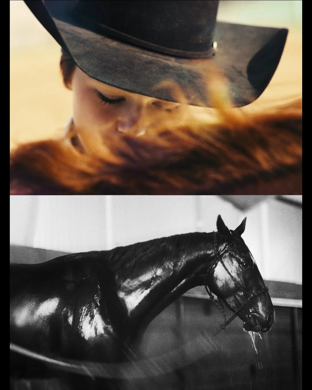 A couple more from the THSRA project.