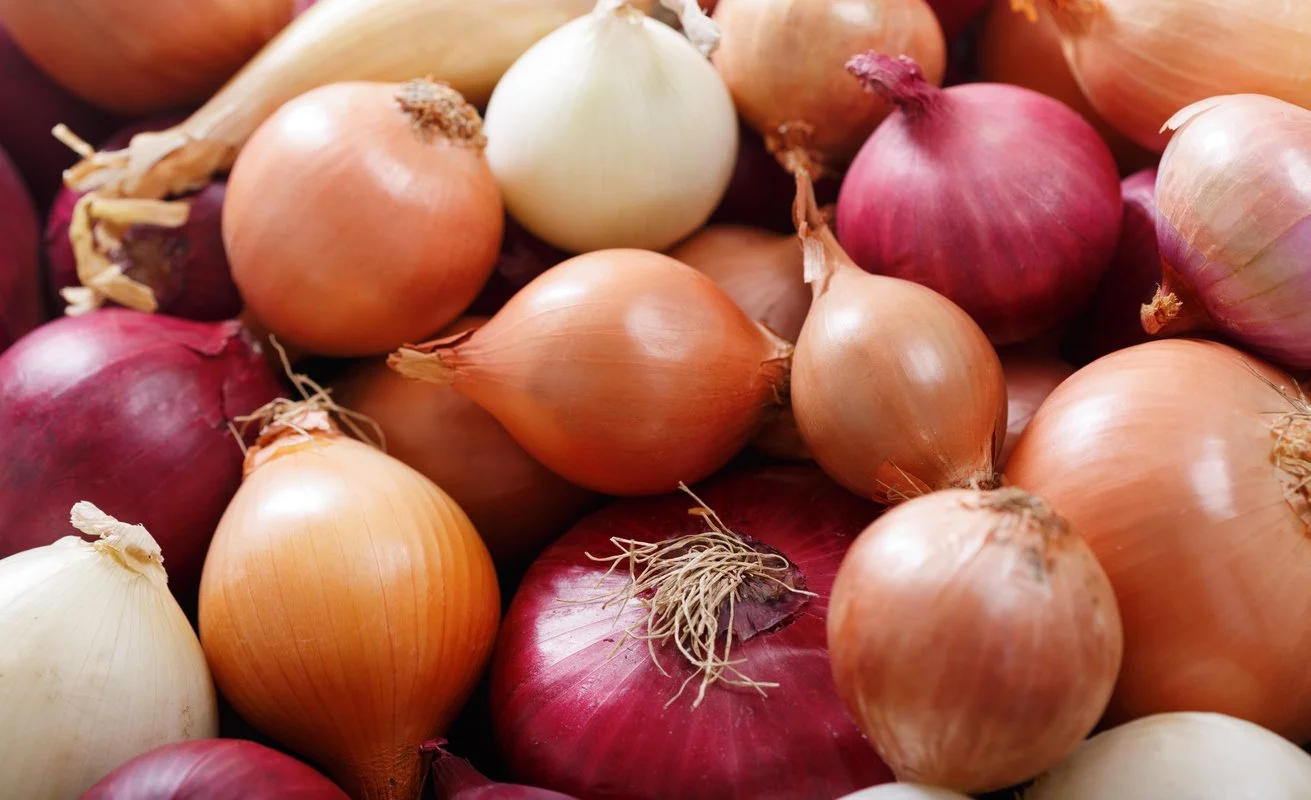 The Ultimate Guide to Onion Varieties | Flavor, Health Benefits & How to Use Them