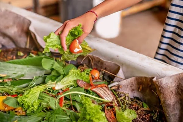 Compost Confessionals — Megan K.
