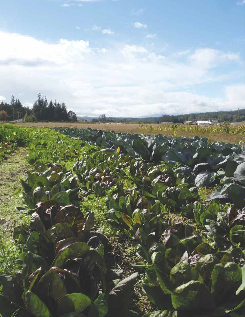 2022 National Organic Research Agenda