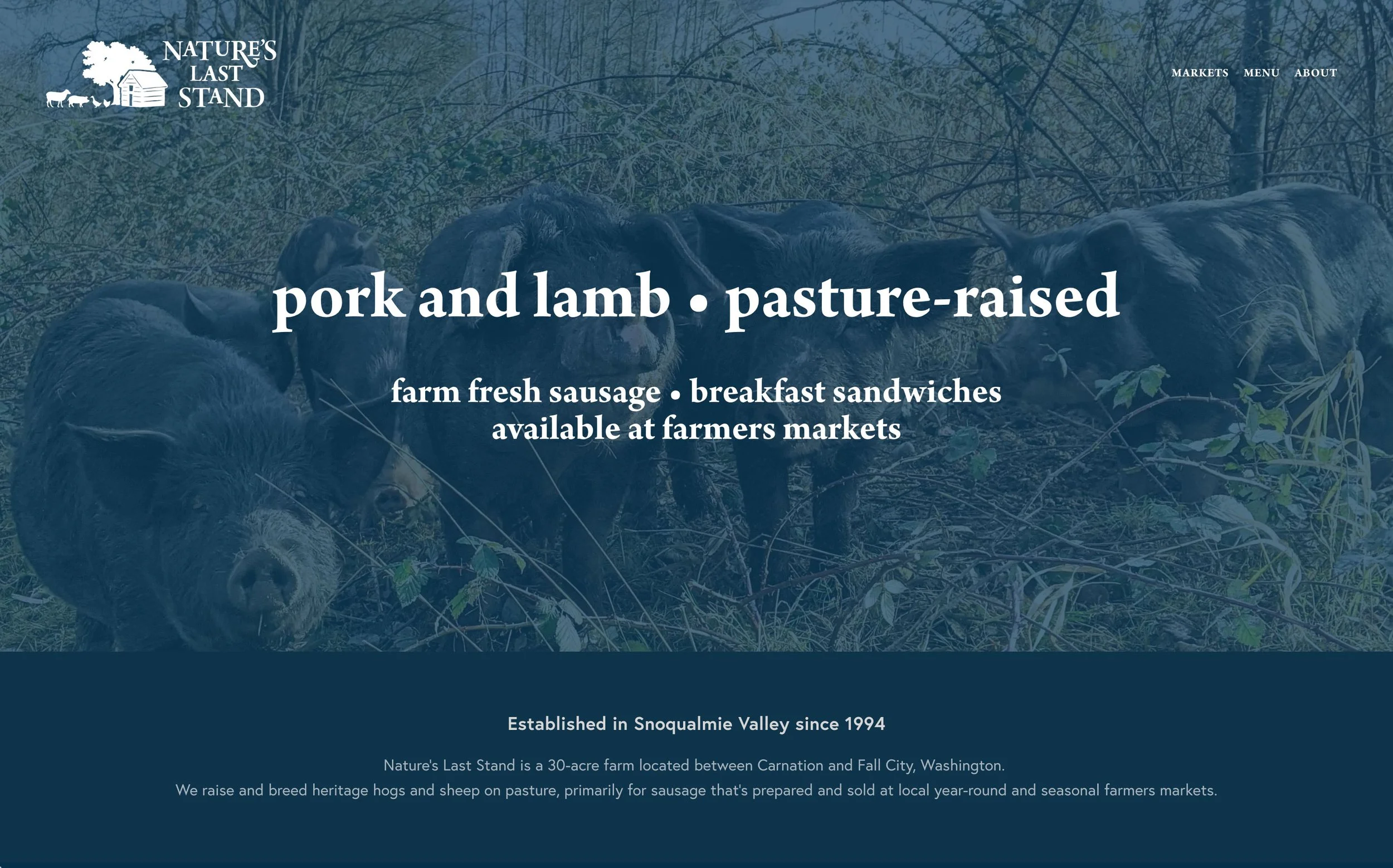 A screenshot of the farm website's homepage with a photo of pigs and the following text: "pork and lamb, pasture-raised." "Farm fresh sausage, breakfast sandwiches, available at farmers markets." Additional text explains farm information.