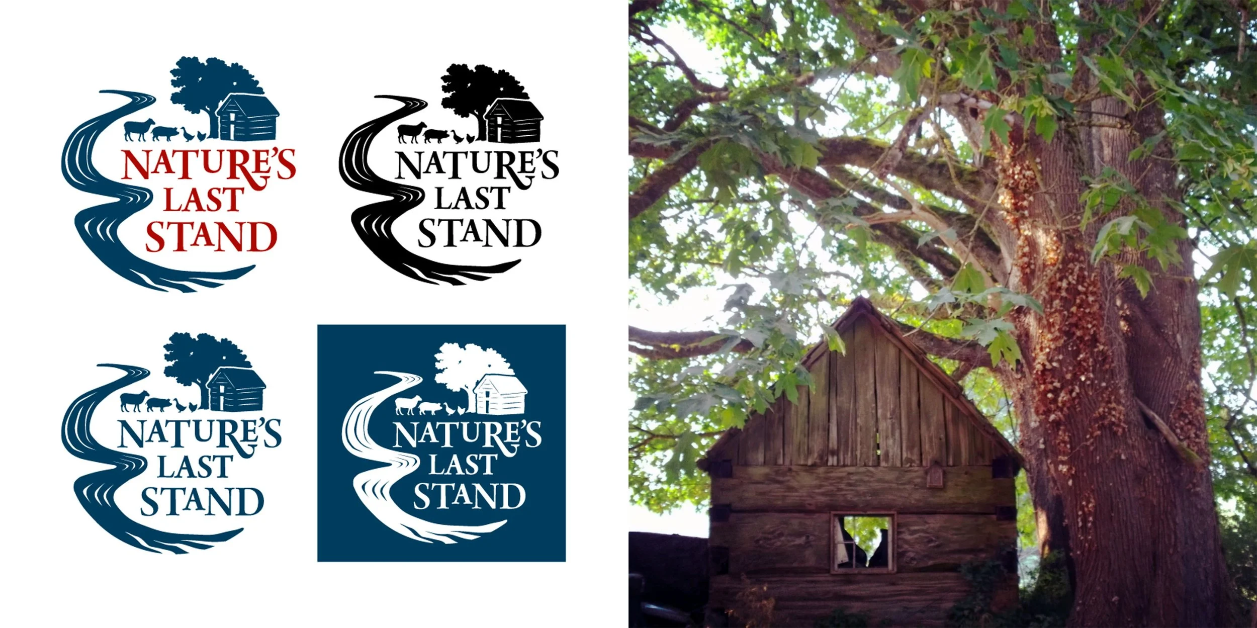 Four versions of the farm's logo: a blue and red version; an all black version; an all blue version; and an all white version with a blue background. A photo of a cabin on the farm served as inspiration.
