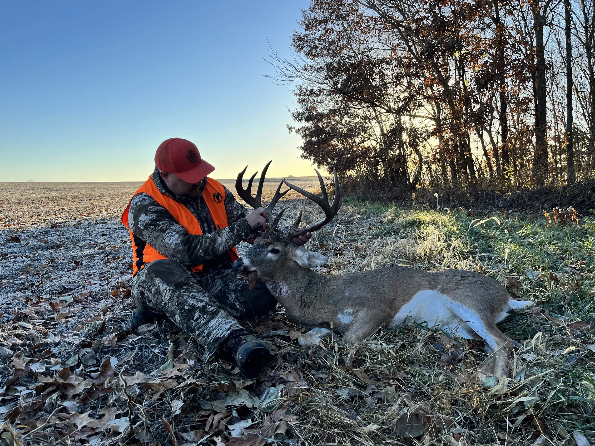Hunter in camouflage clothing and orange vest sitting on the ground, holding the antlers of a large dead deer with a leafy field and trees in the background during sunset.