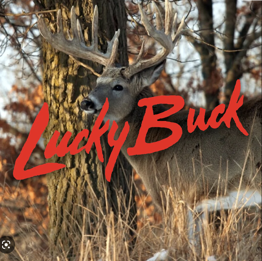 Screen Shot 2022-12-22 at 10.27.37 AM.png