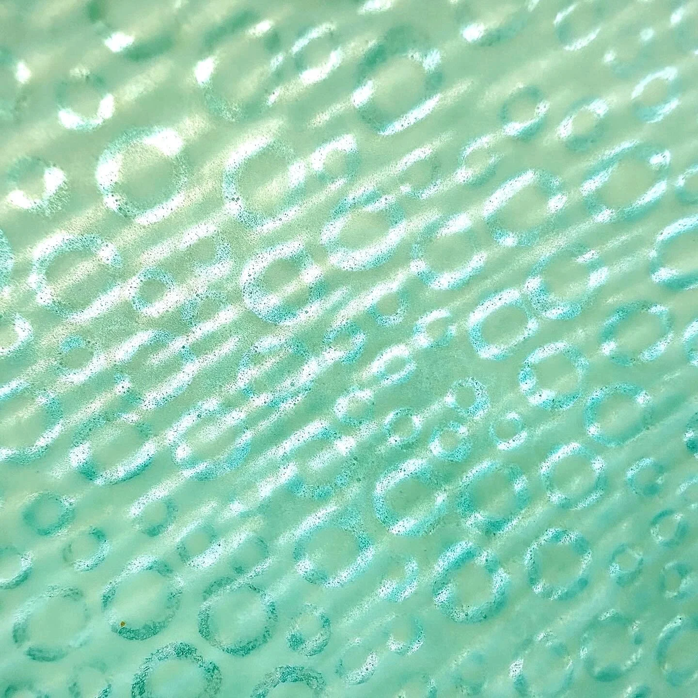 C8B41C0C-192F-430A-8B79-DE3D70D95B10.jpg