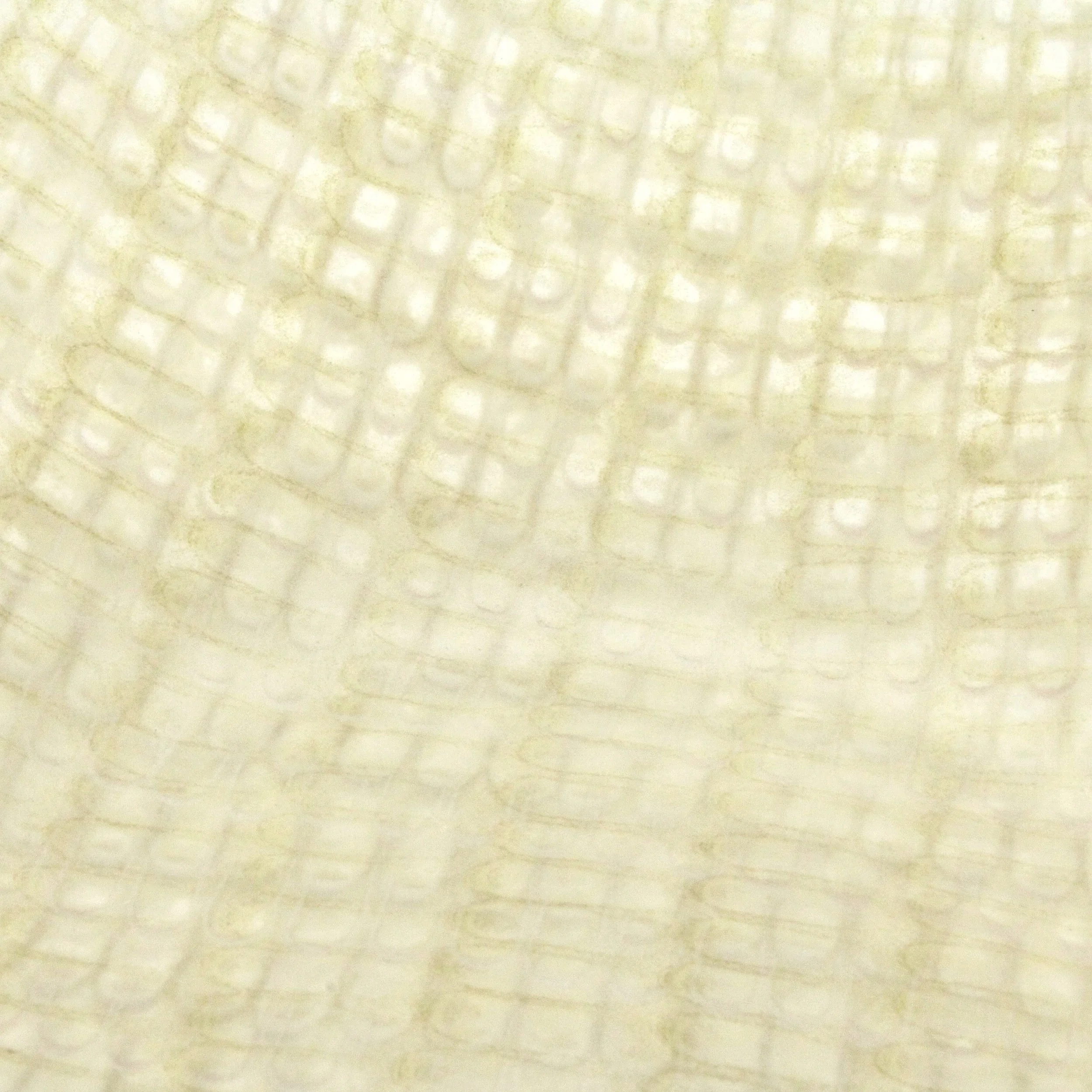 B3A9CC1F-4C22-456D-891C-976434C25536_1_201_a.jpg