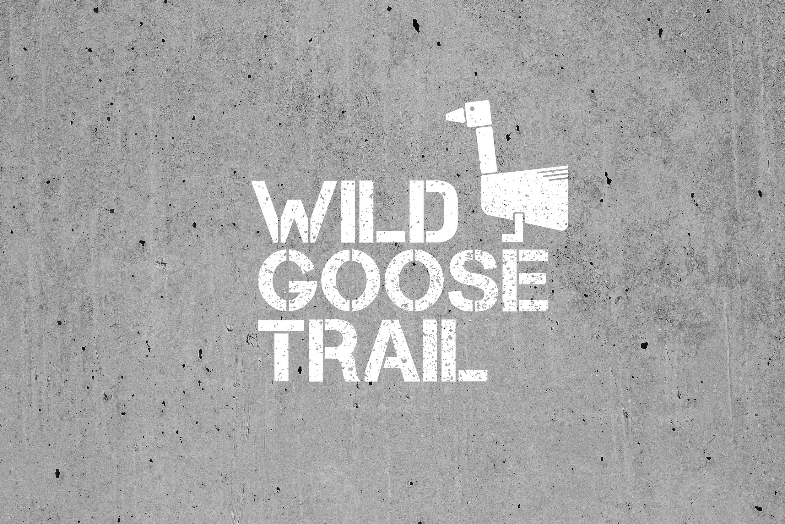 The stencil typeface and scratchy texture conveys a fun, guerrilla-style urban aesthetic