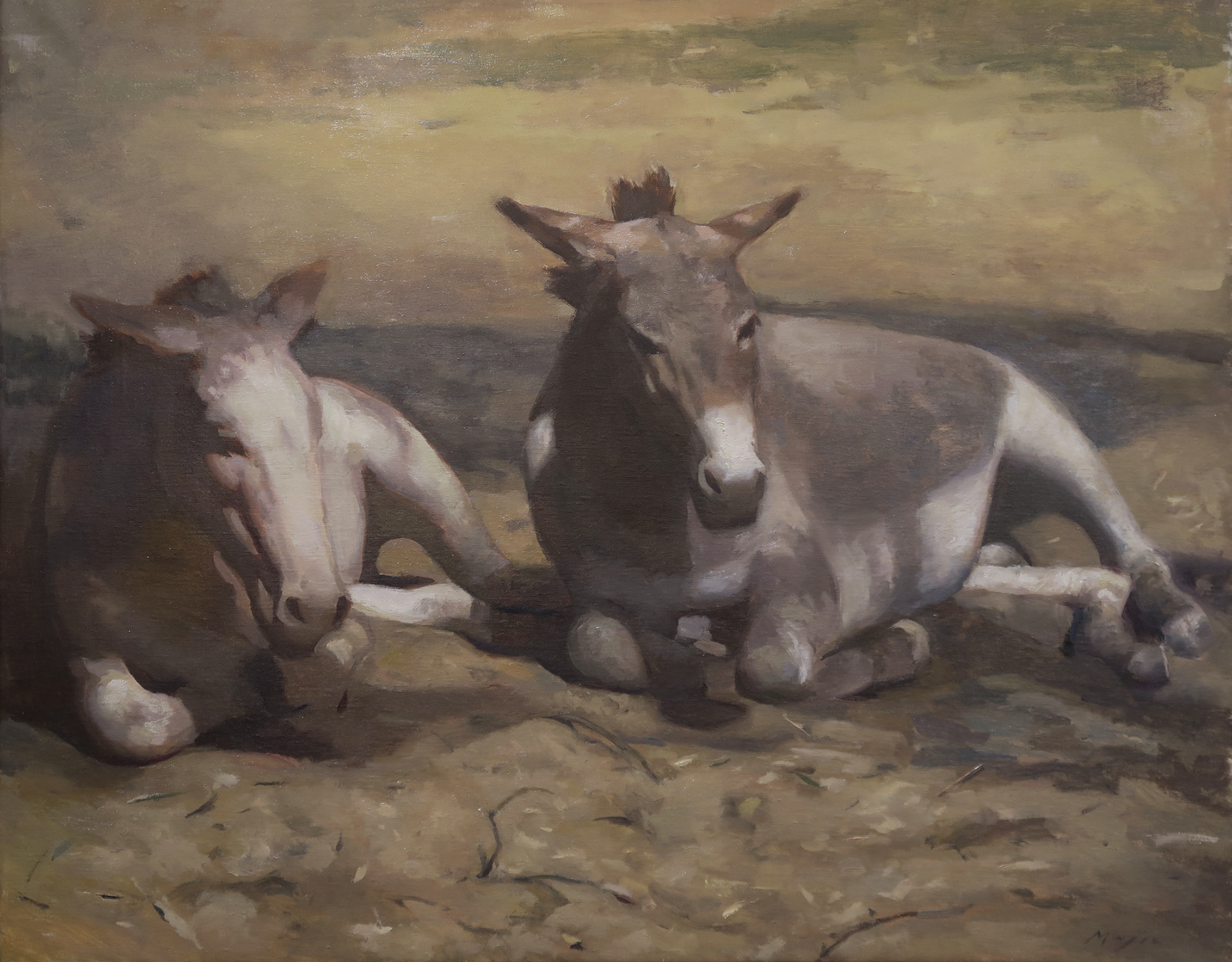"Buscando la Sombra" (In Search of Shade)