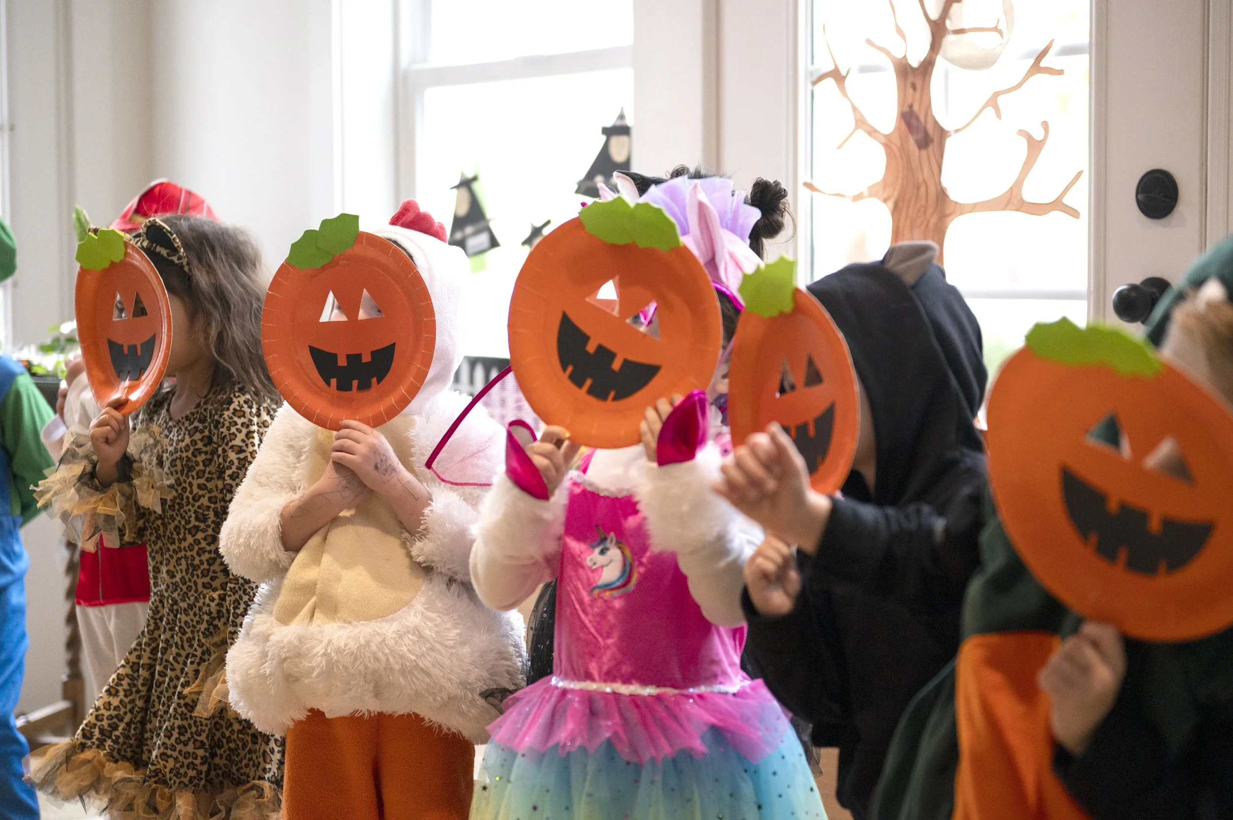 DSC_3377 copy (1).JPEG