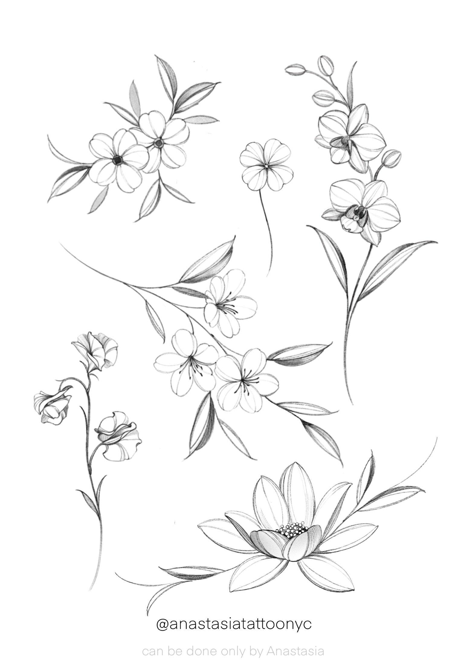 Black and white floral tattoo sketches featuring various flowers, leaves, and a lotus blossom.