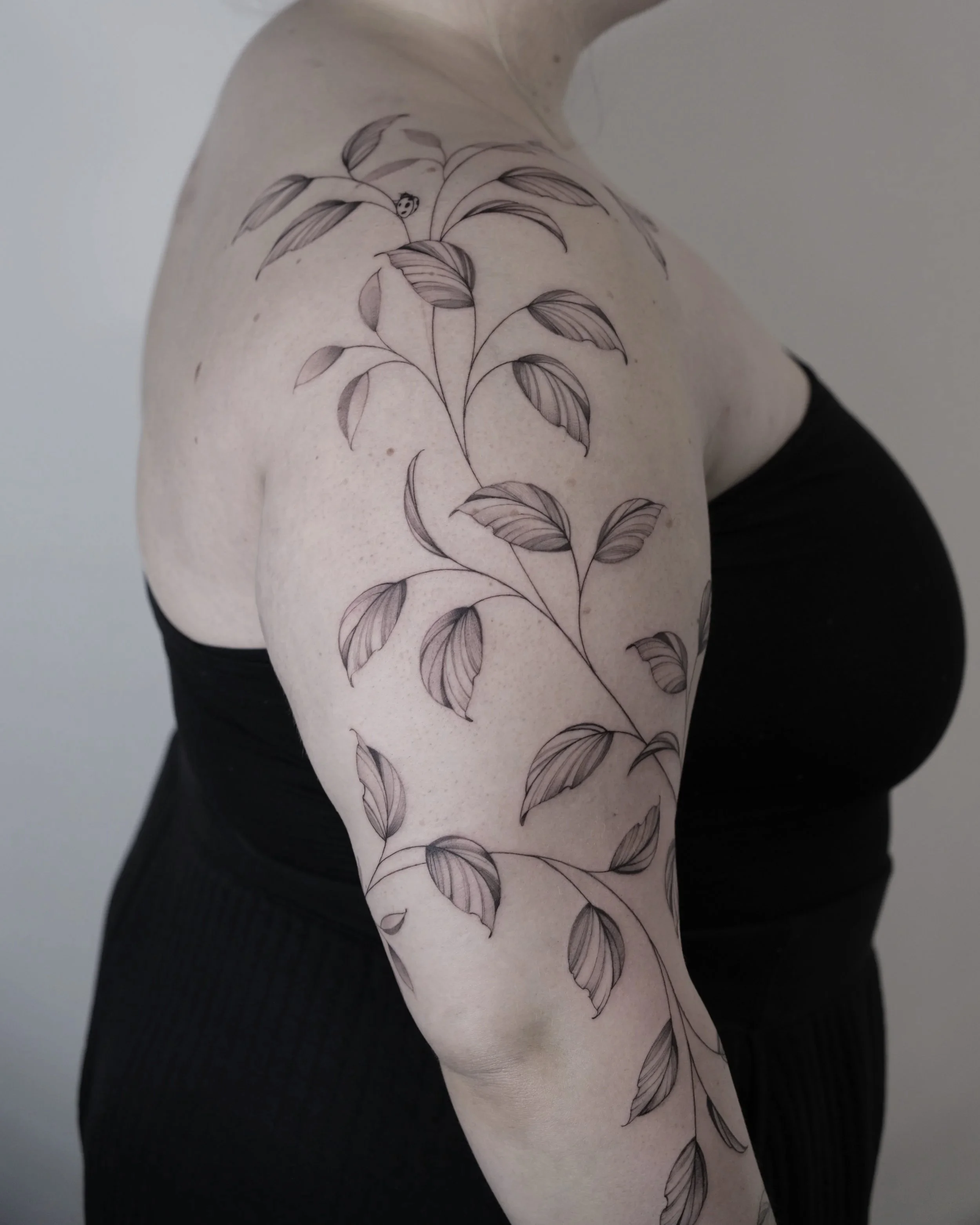 DSCF6050.jpg