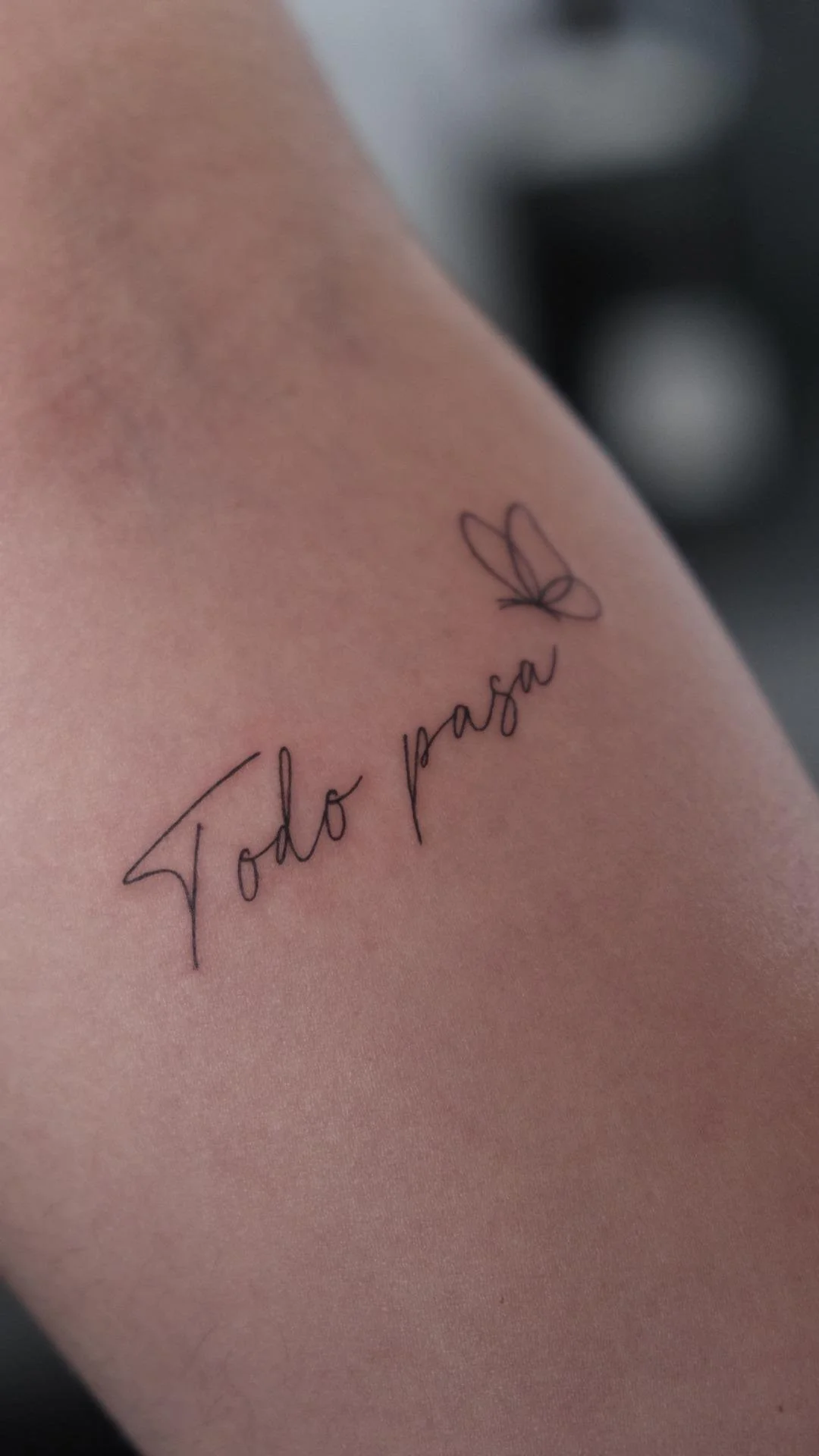 todo-pasa-script-tattoo-butterfly.jpeg (Copy) (Copy)