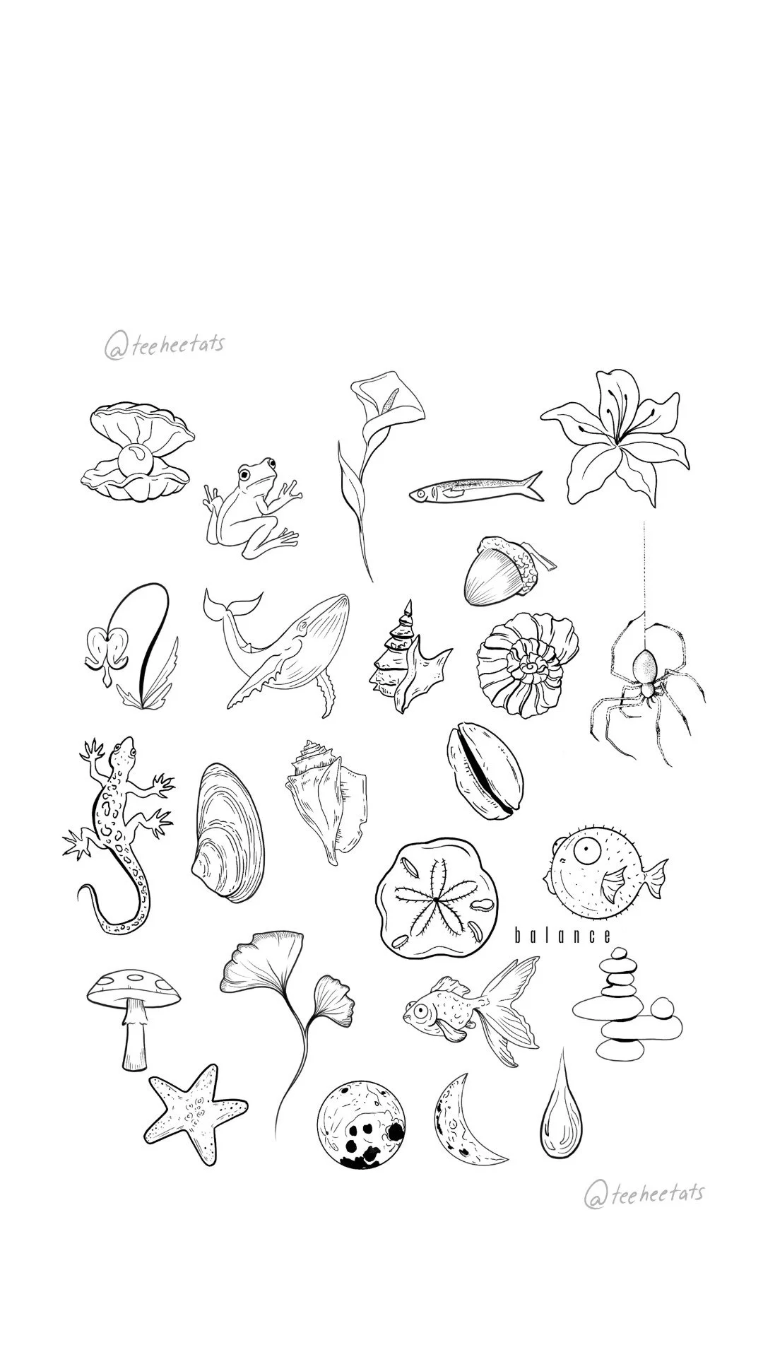 fineline-nature-flash-sheet-marine-life-soho-nyc.jpeg
