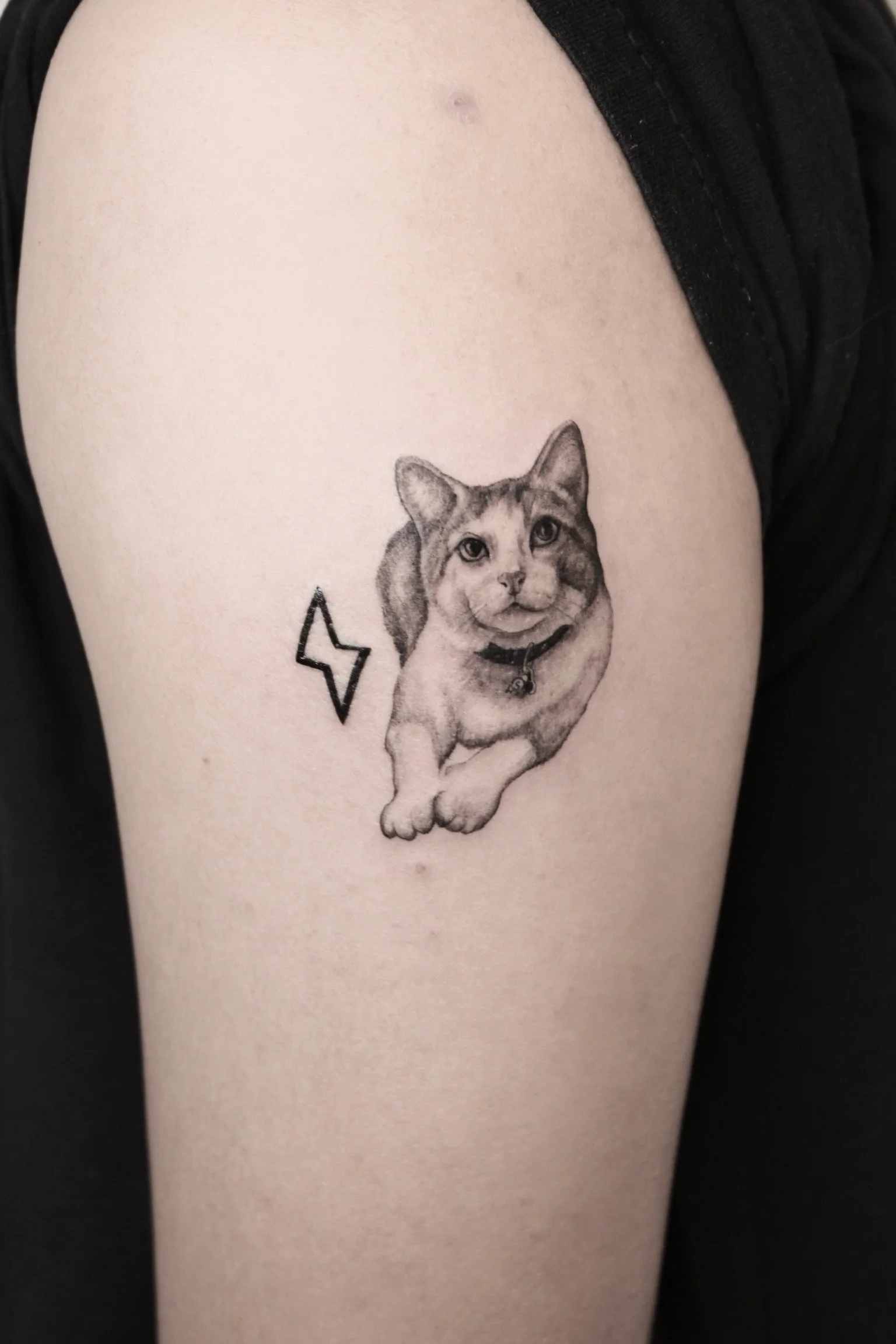 Tattoo of a realistic cat with a lightning bolt symbol on the upper arm.