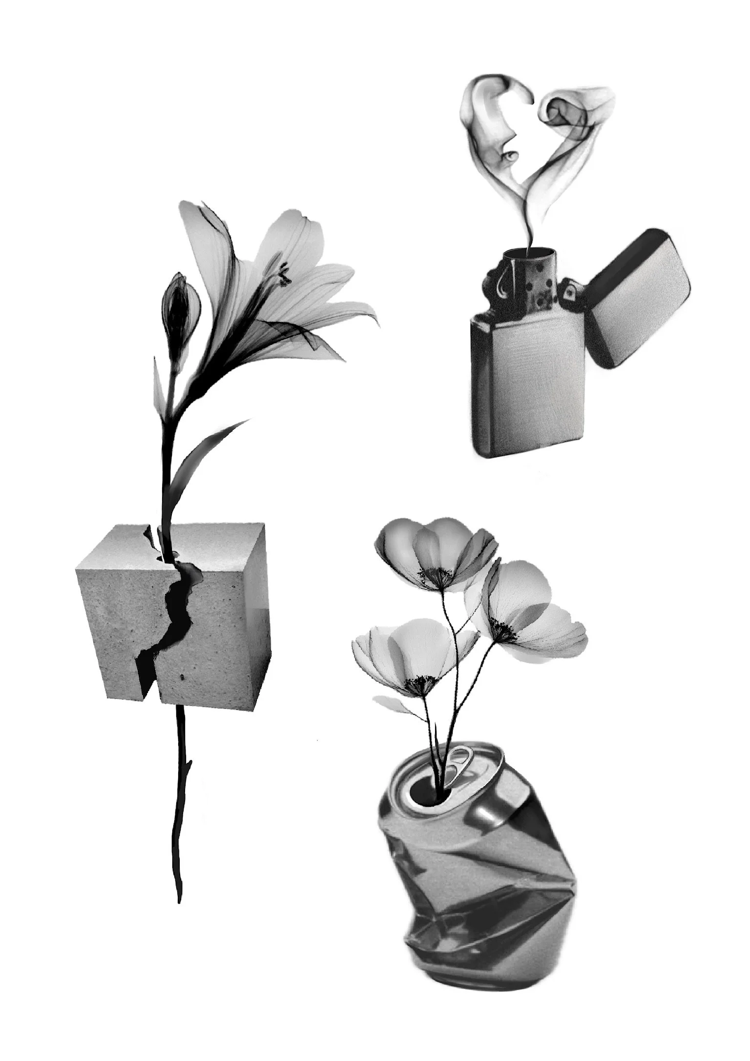 Black and white artistic collage of flowers and objects. A flower growing from a cracked block of concrete, flowers emerging from a crushed soda can, a lighter with a rising stream of smoke forming a face, and a set of three flowers on a thin stem.