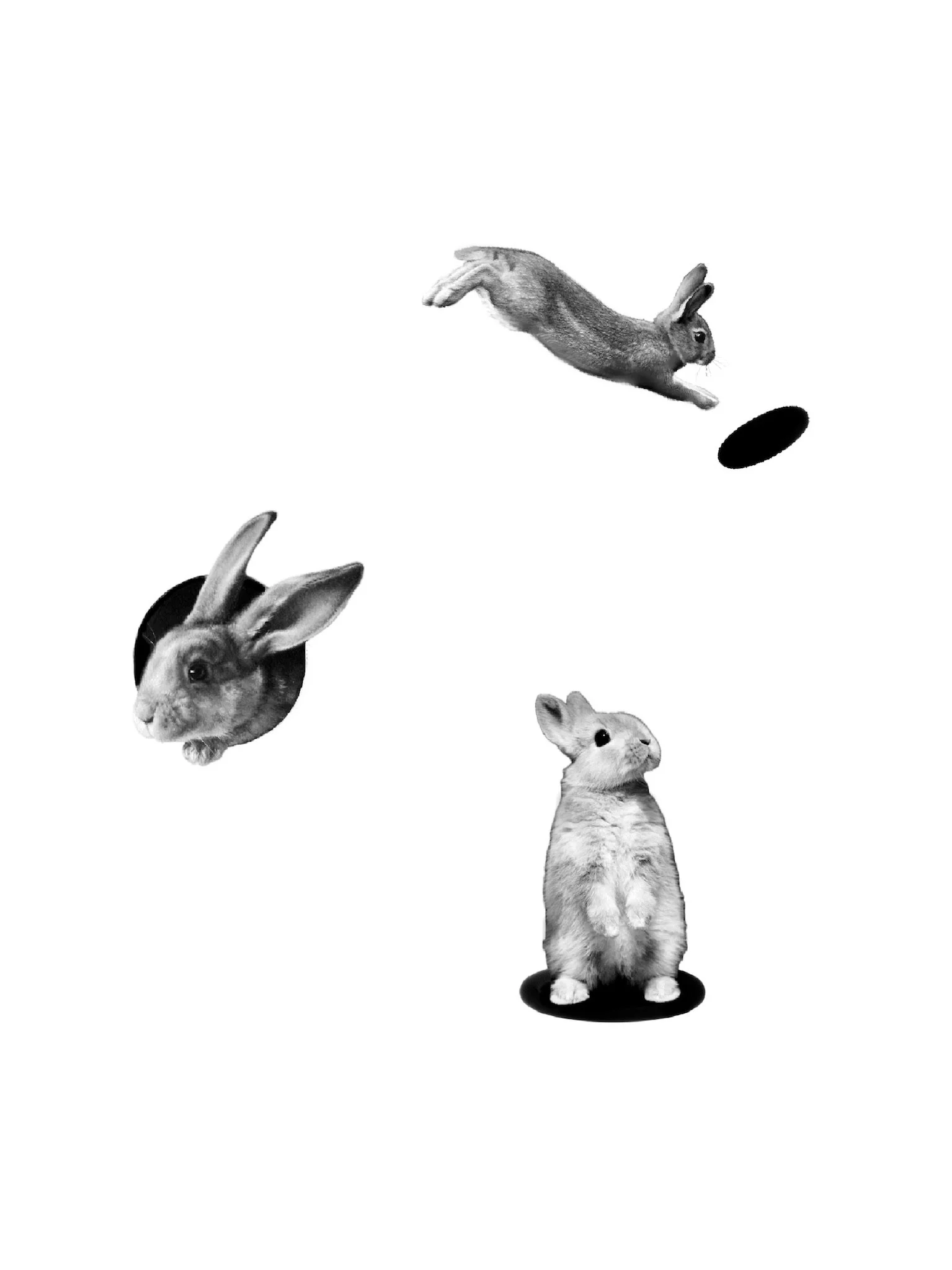 Three rabbits, with one jumping and two resting, isolated on a white background.