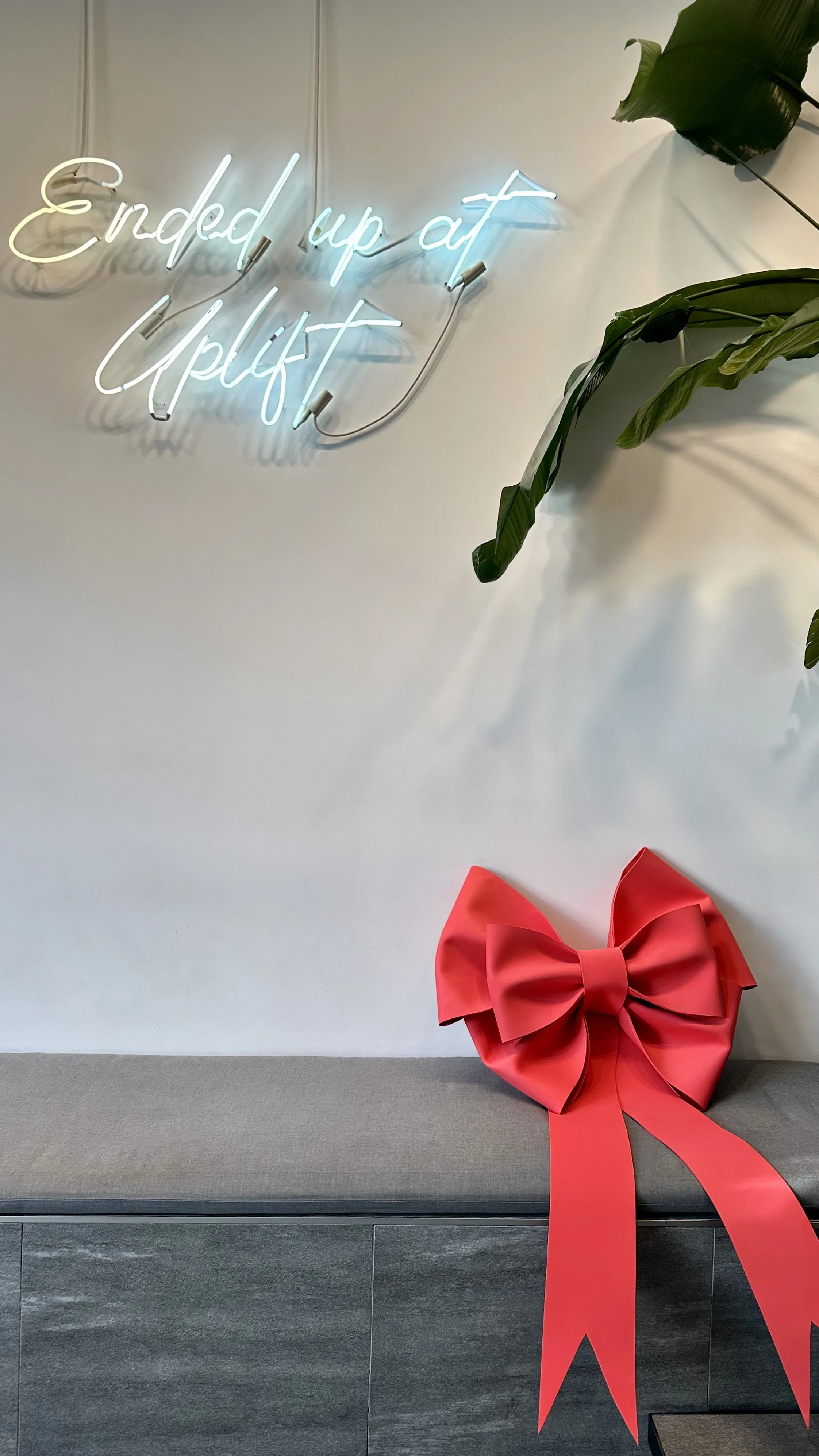 A wall with a neon sign that says 'Ended up at uplift' and a large red decorative bow on a gray bench.
