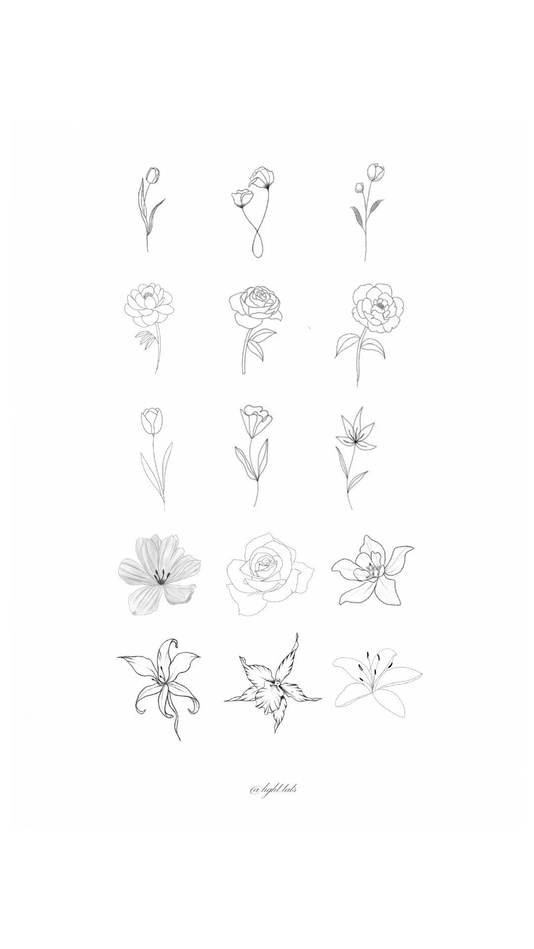 A collection of 16 different flower sketches arranged in a grid pattern, with four rows and four columns, on a white background.