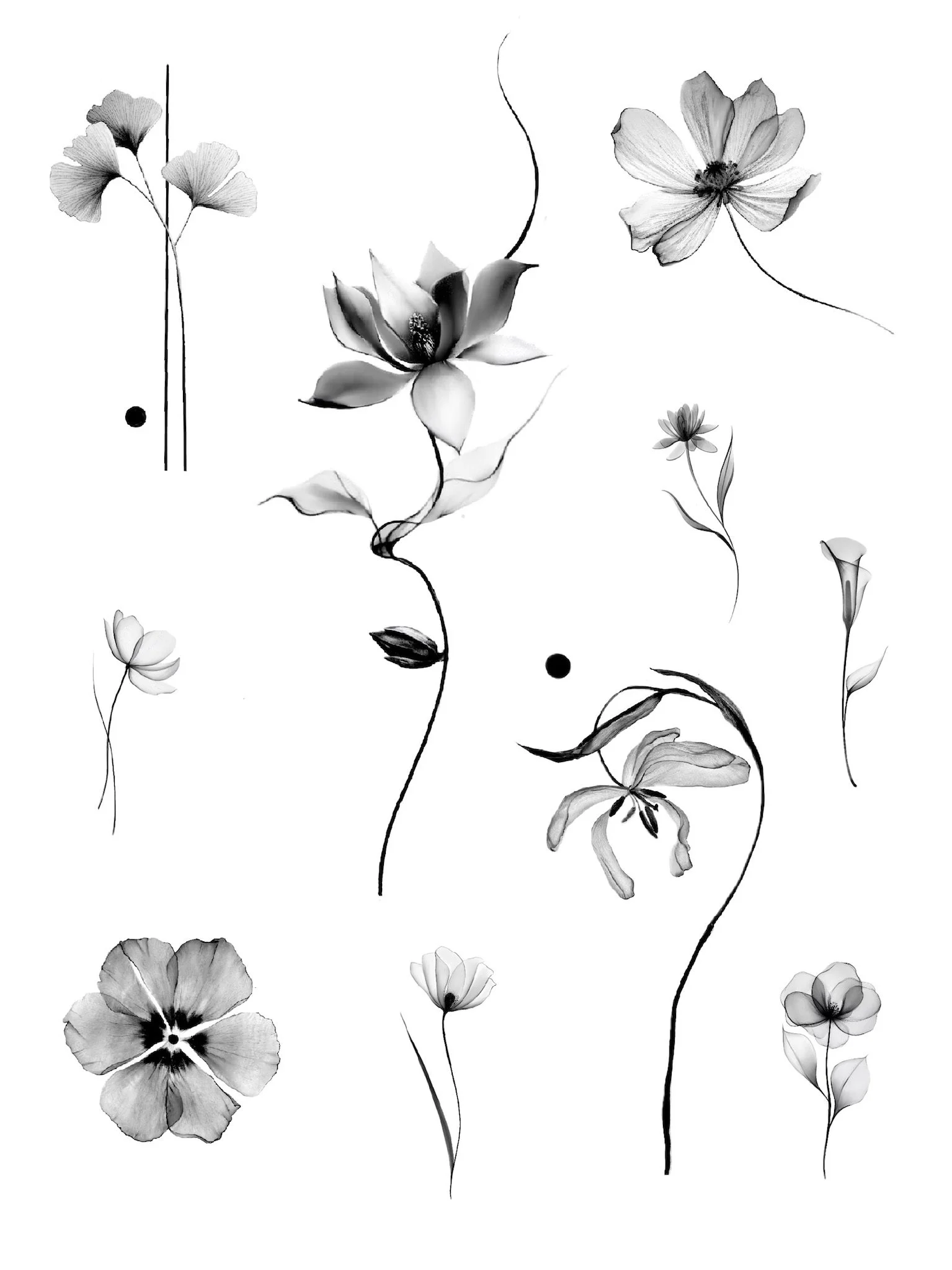 Black and white digital illustration of various flowers and plants, including lilies, daisies, and other blossoms, with some lines and dots in a minimalist style.