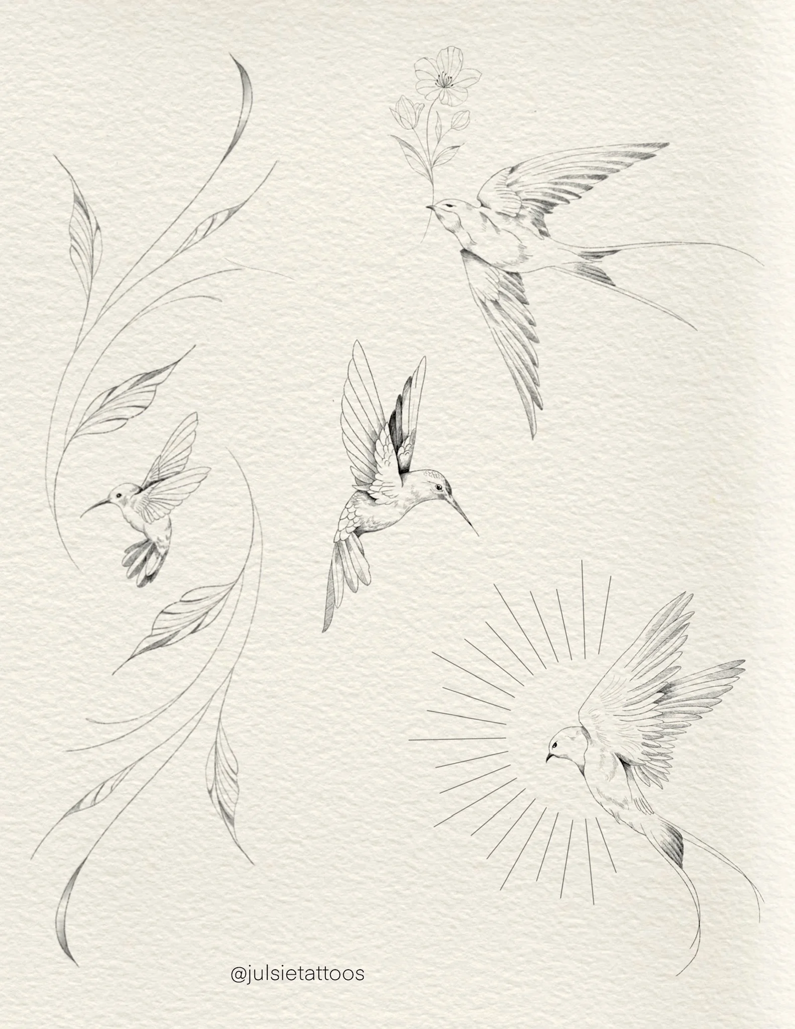 Sketch of four hummingbirds with flowers and leaves, and a radiant halo around one hummingbird, on textured beige background.