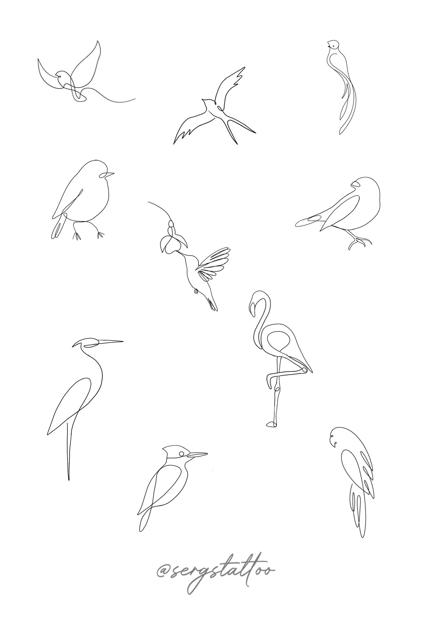 Line art drawings of various birds, including hummingbirds, herons, flamingos, and other songbirds, arranged randomly on a white background with the artist's signature '@sergstatoo' at the bottom.