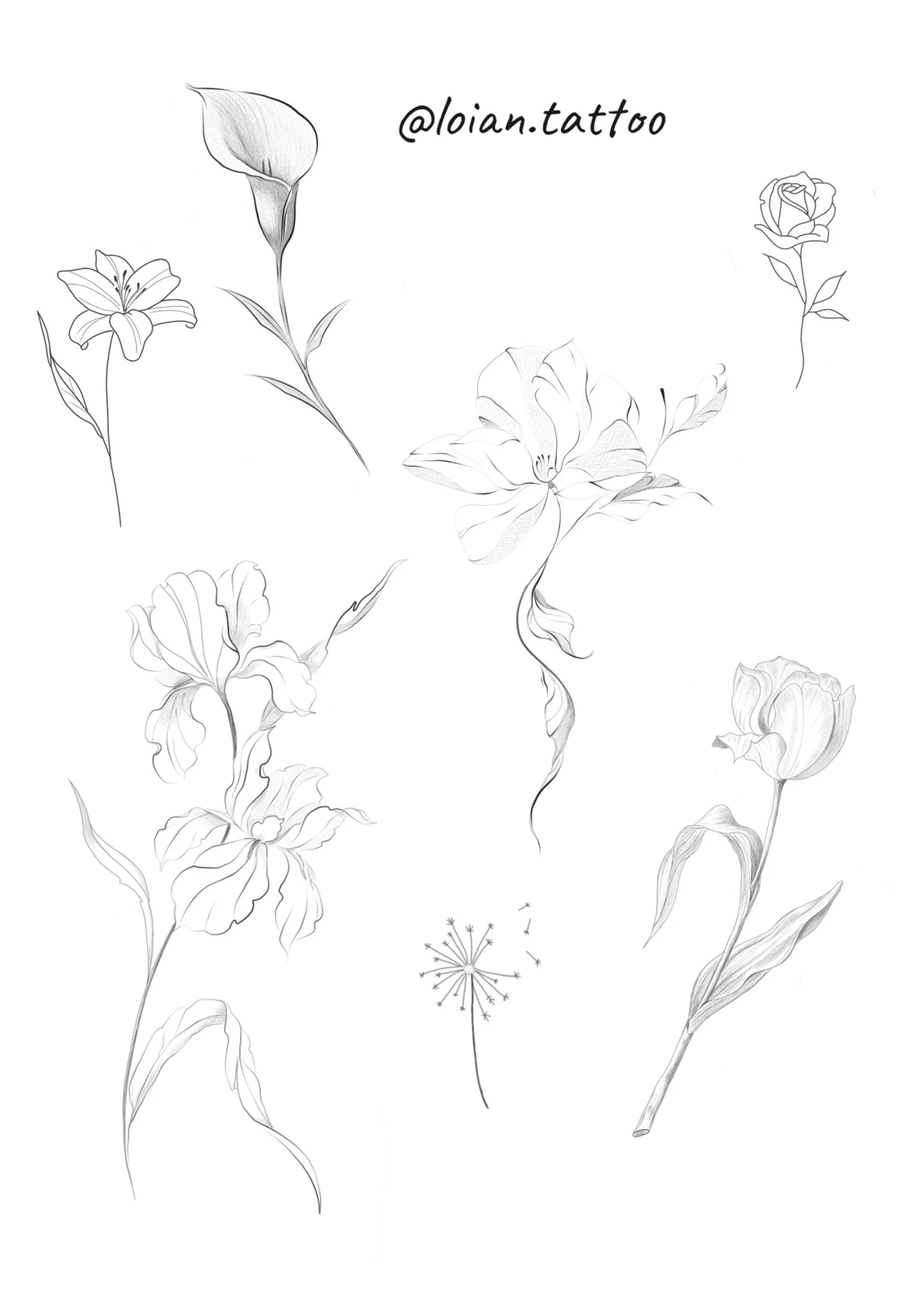 Sketch of various flowers, including lilies, roses, and a dandelion, with the text '@loian.tattoo' at the top.