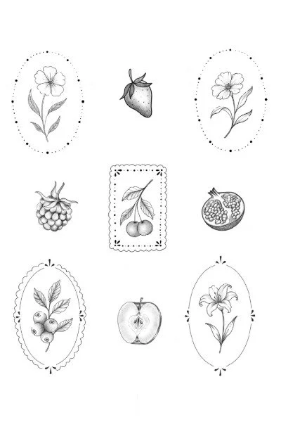 Black and white drawings of various fruits and flowers, including strawberries, blueberries, grapes, pomegranate, apple, cherry, and honeysuckle.