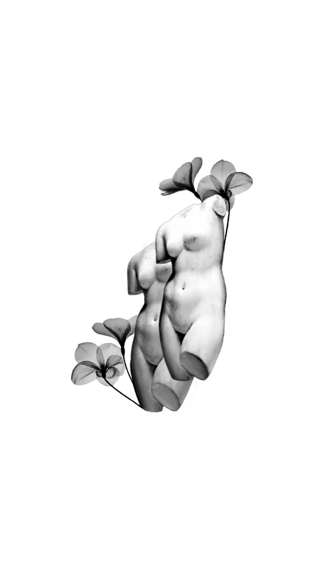 Black and white image of a classical-style nude sculpture of a female torso, combined with leaves and flowers.
