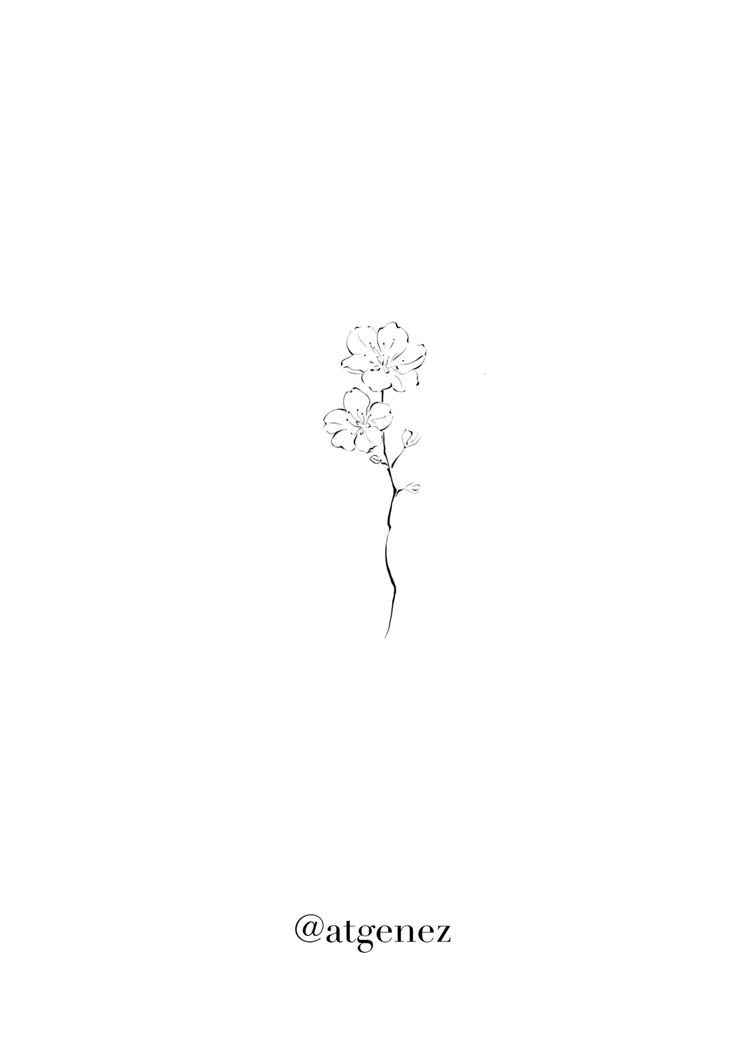 Minimalist black and white line drawing of a small flower with two blossoms and a few leaves, with the Instagram handle '@atgenez' below.