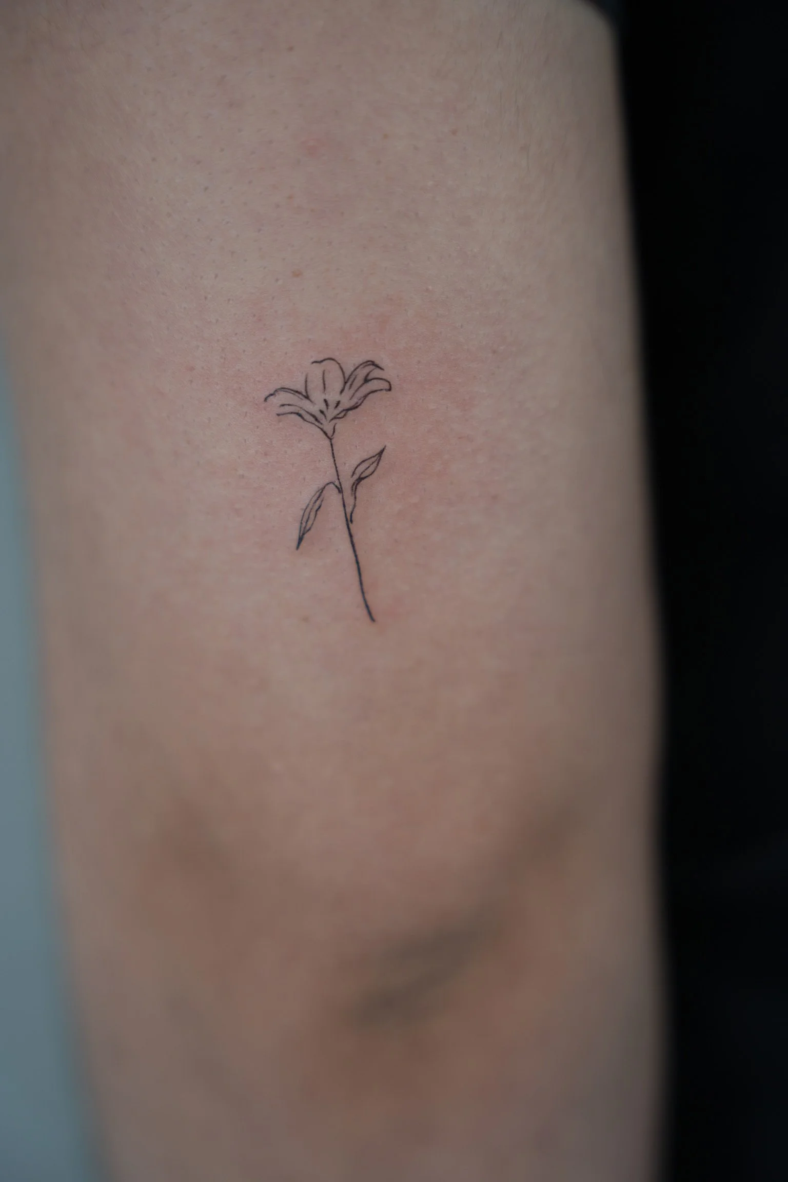 A minimalist tattoo of a flower with a stem and a few leaves on a person's skin.