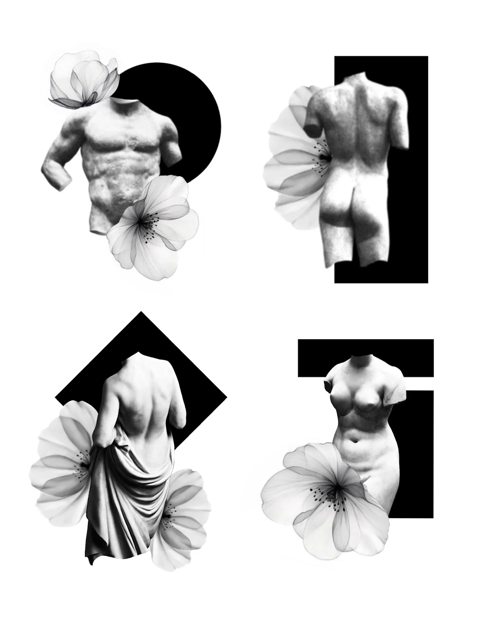 Black and white collage featuring classical sculptures of male and female torsos accented with large, semi-transparent flowers.