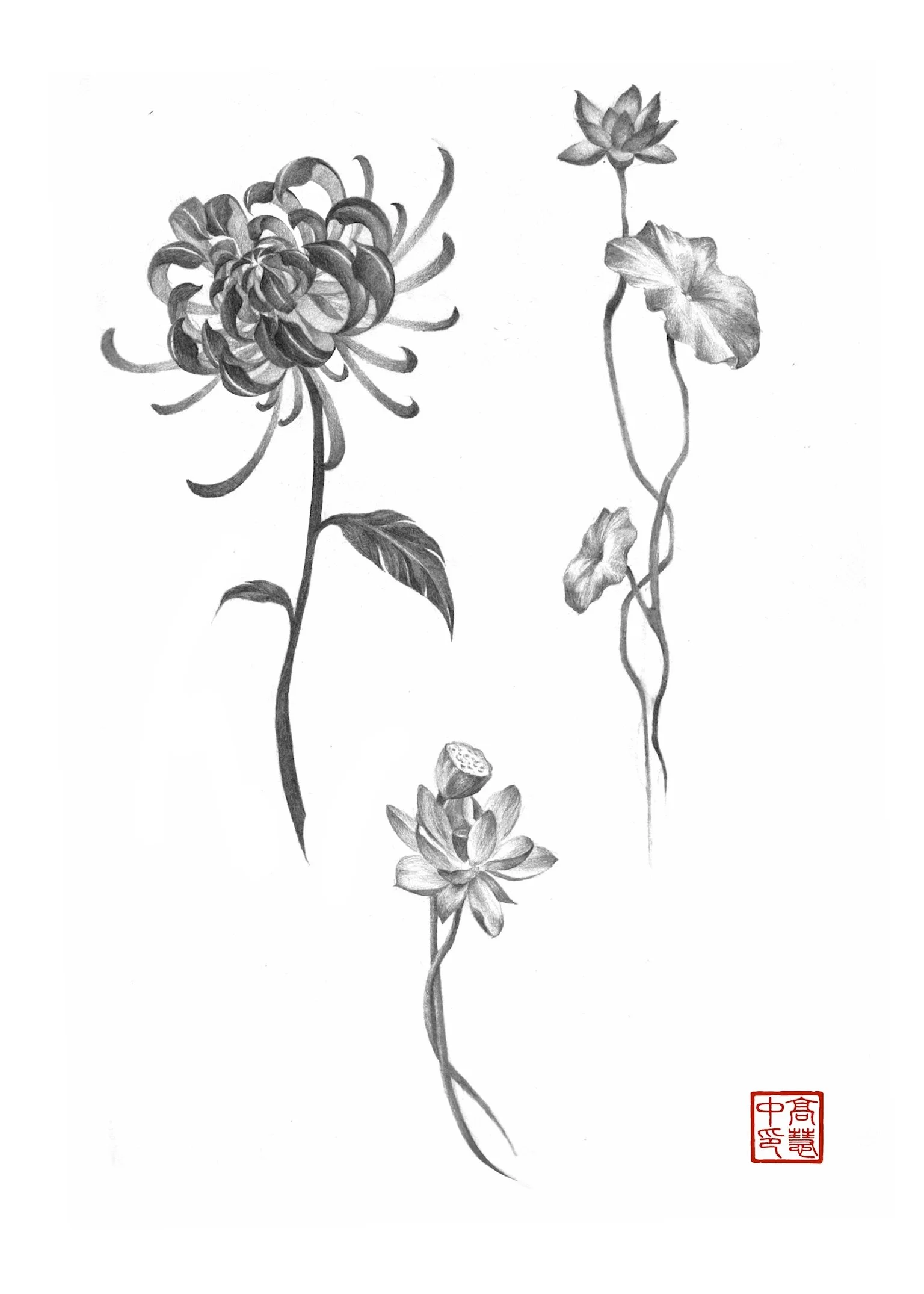 Black and white botanical drawing of three different flowers with detailed petals and leaves, along with an artistic red stamp in the lower right corner.