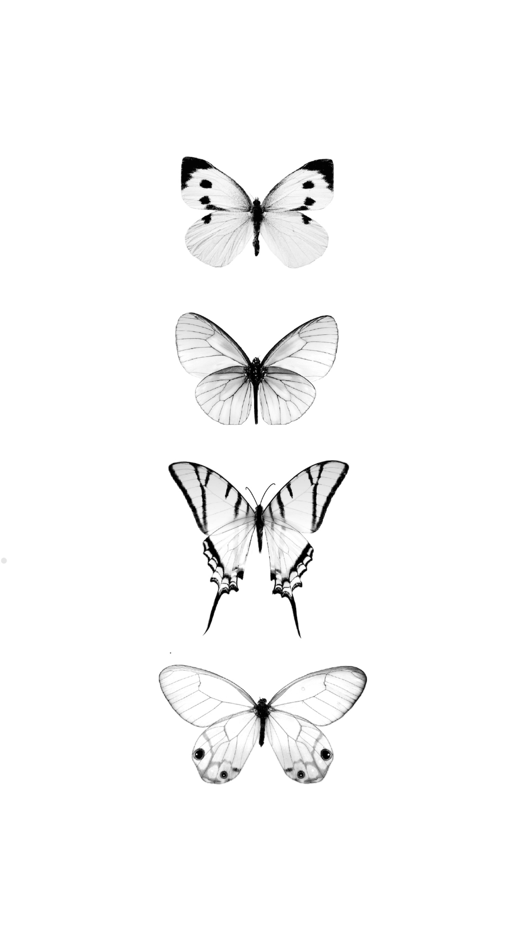 minimal-symmetrical-butterfly-fine-line-tattoos.png
