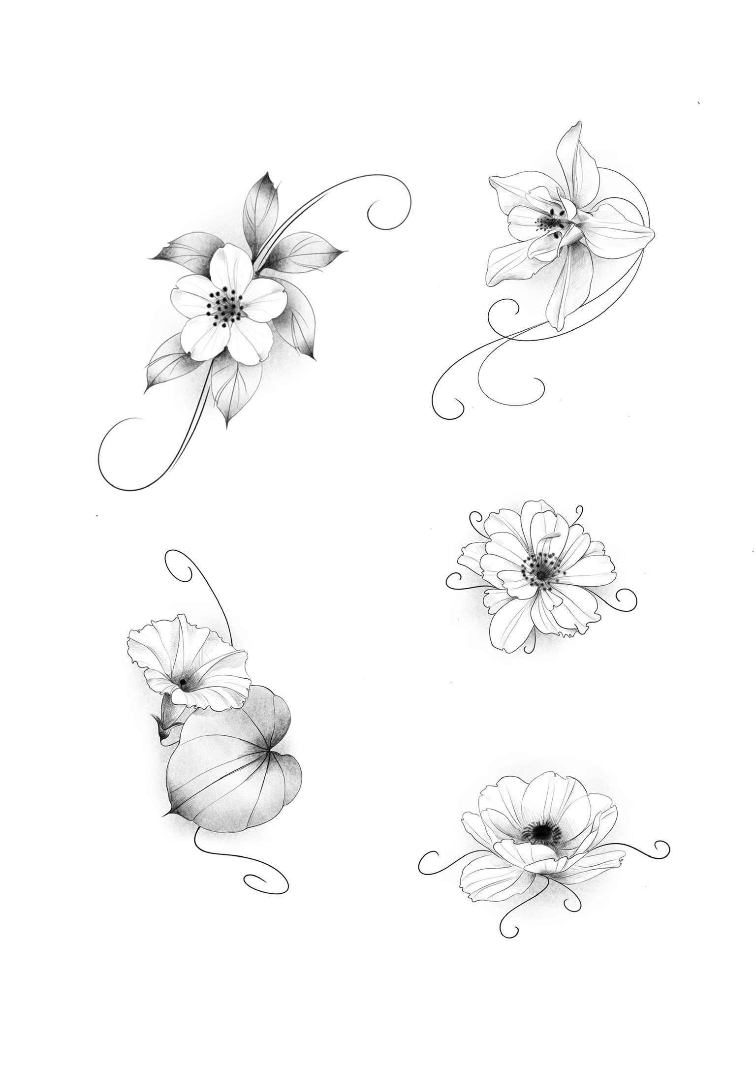 Black and white sketches of five different flowers with flowing lines and detailed petals and leaves, arranged in a scattered layout.
