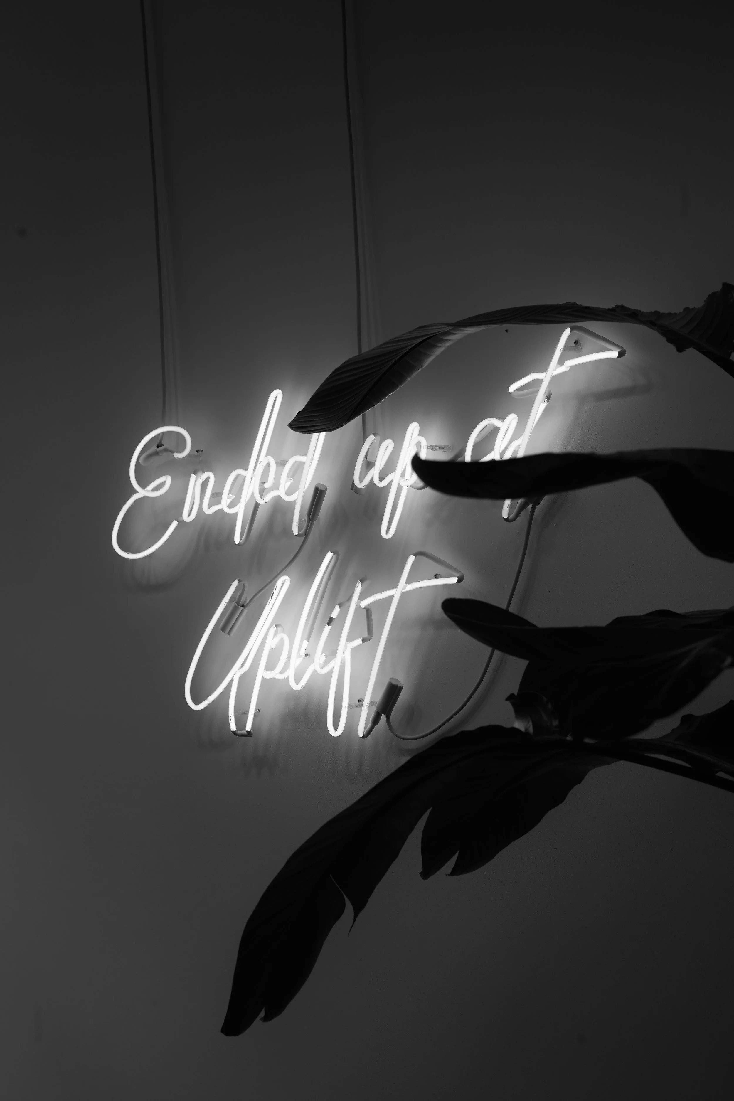 Neon sign that says 'Enrich, uplift, uplift' in cursive script, surrounded by large dark leaves.
