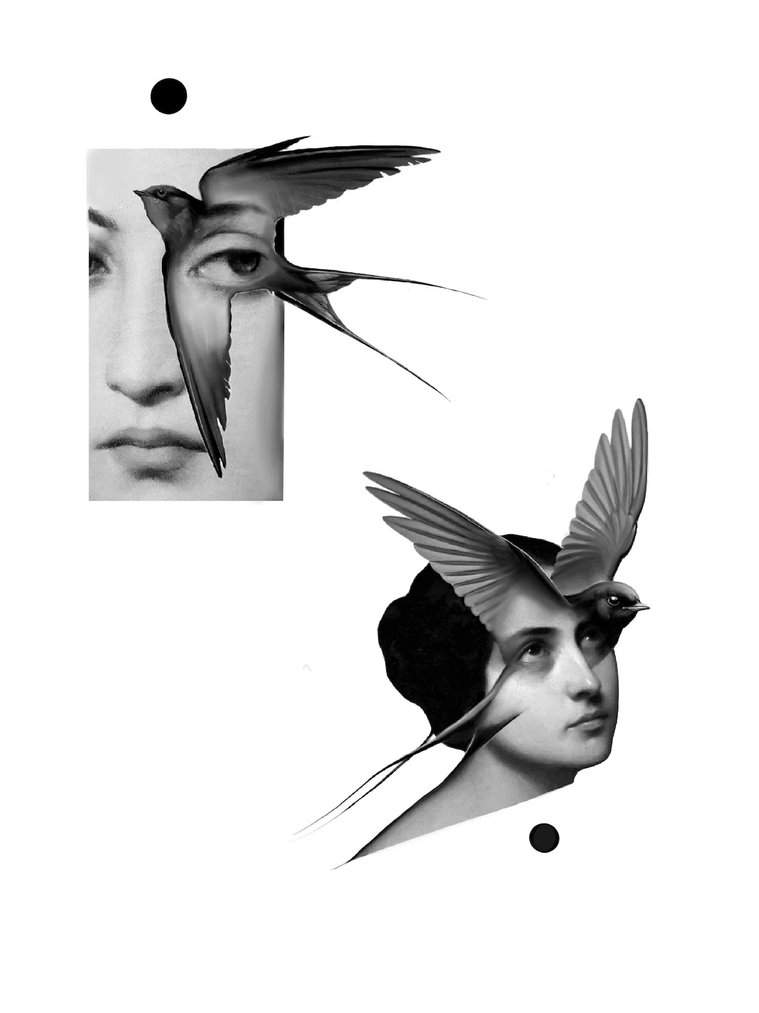 Black and white collage featuring two women with photographic faces. Each woman's face is partially overlaid with a bird, blending into her face and head. The background is mostly white with a few black dots.
