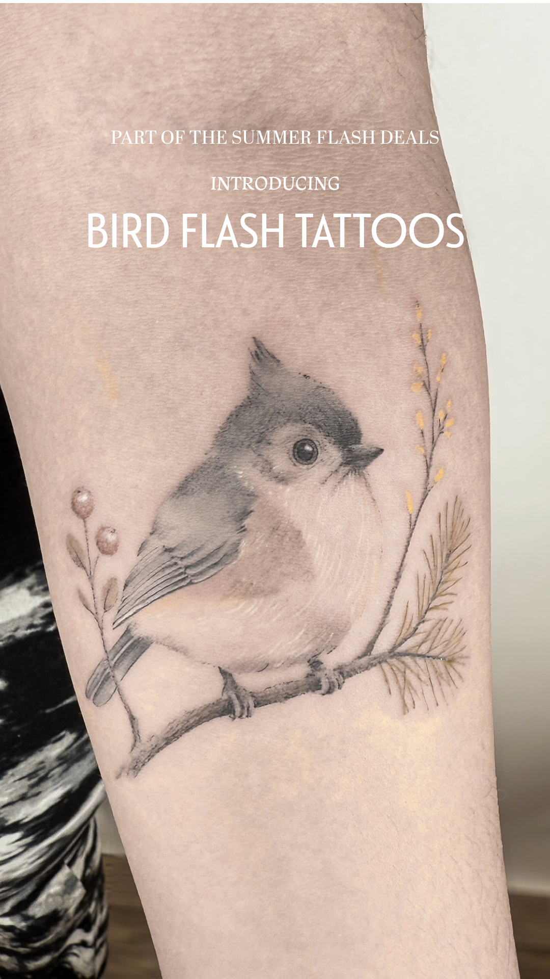 Tattoo of a detailed, realistic bird perched on a branch with small leaves and sprigs, underneath promotional text about bird flash tattoos.