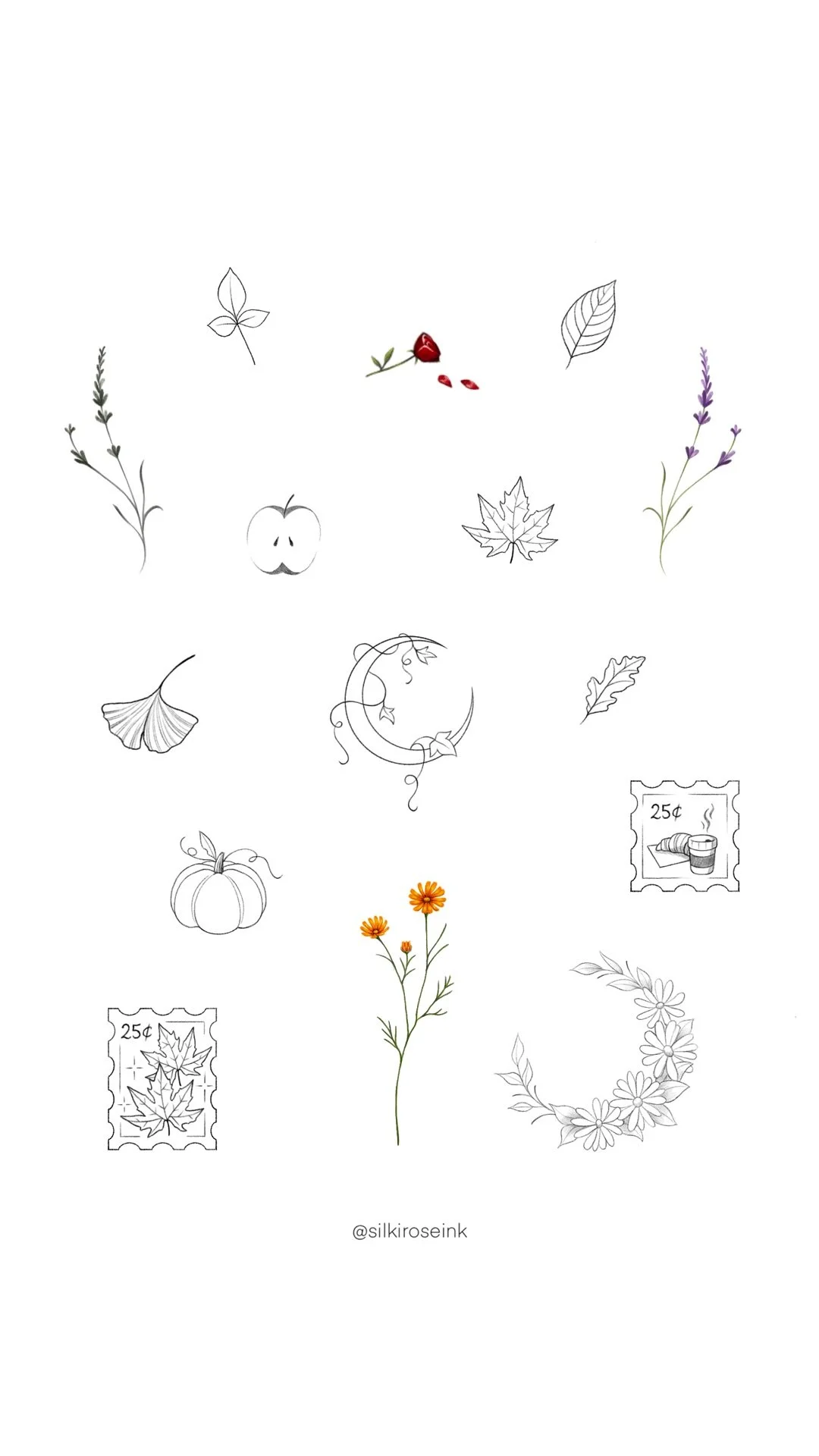 A collection of autumn-themed botanical sketches, including leaves, flowers, a ginkgo leaf, a pumpkin, a gourd, a cherry, a maple leaf, a pine cone, and postage stamps with leaf motifs.
