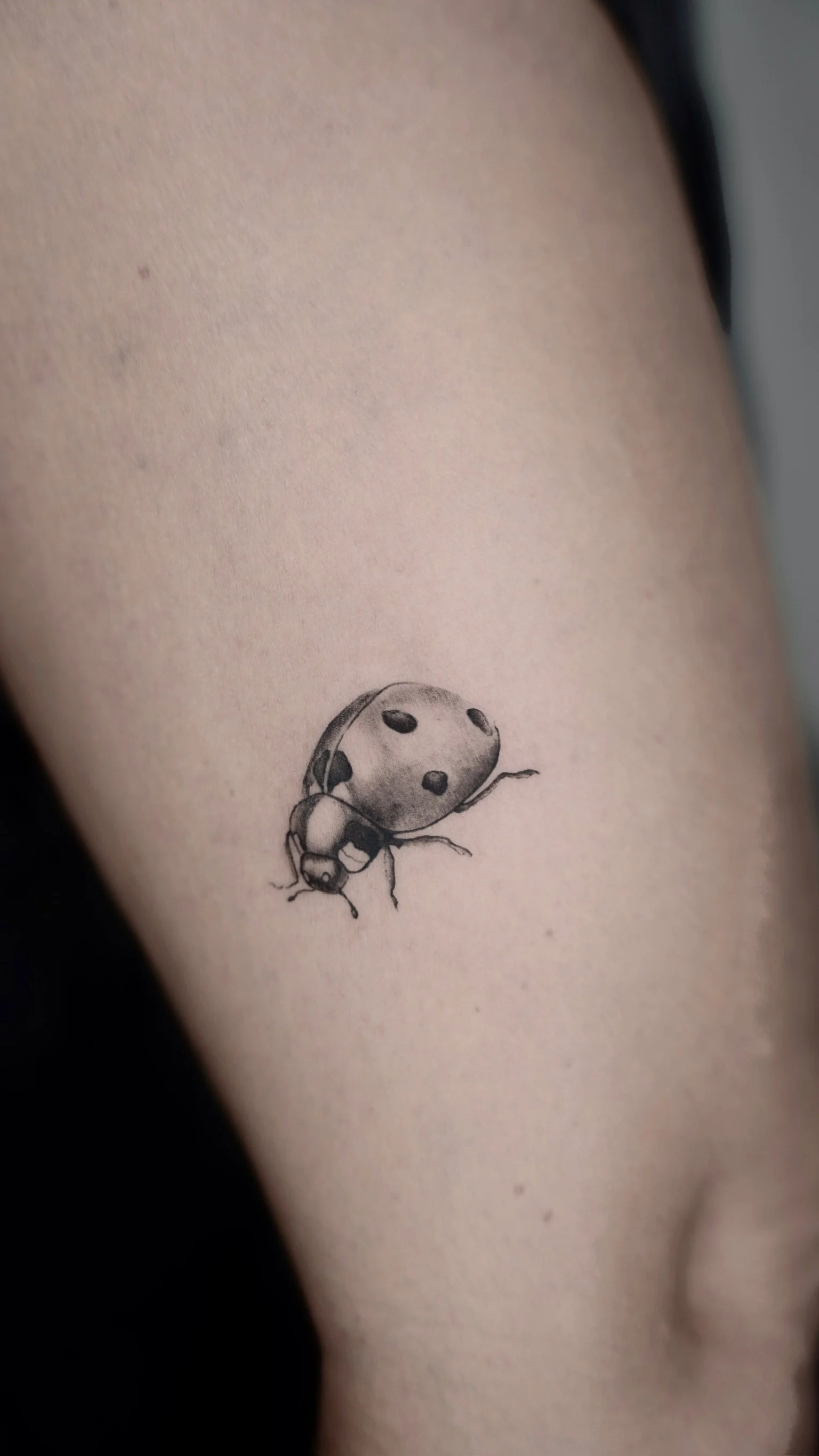 Close-up of a small, detailed black and gray ladybug tattoo on a person's skin.