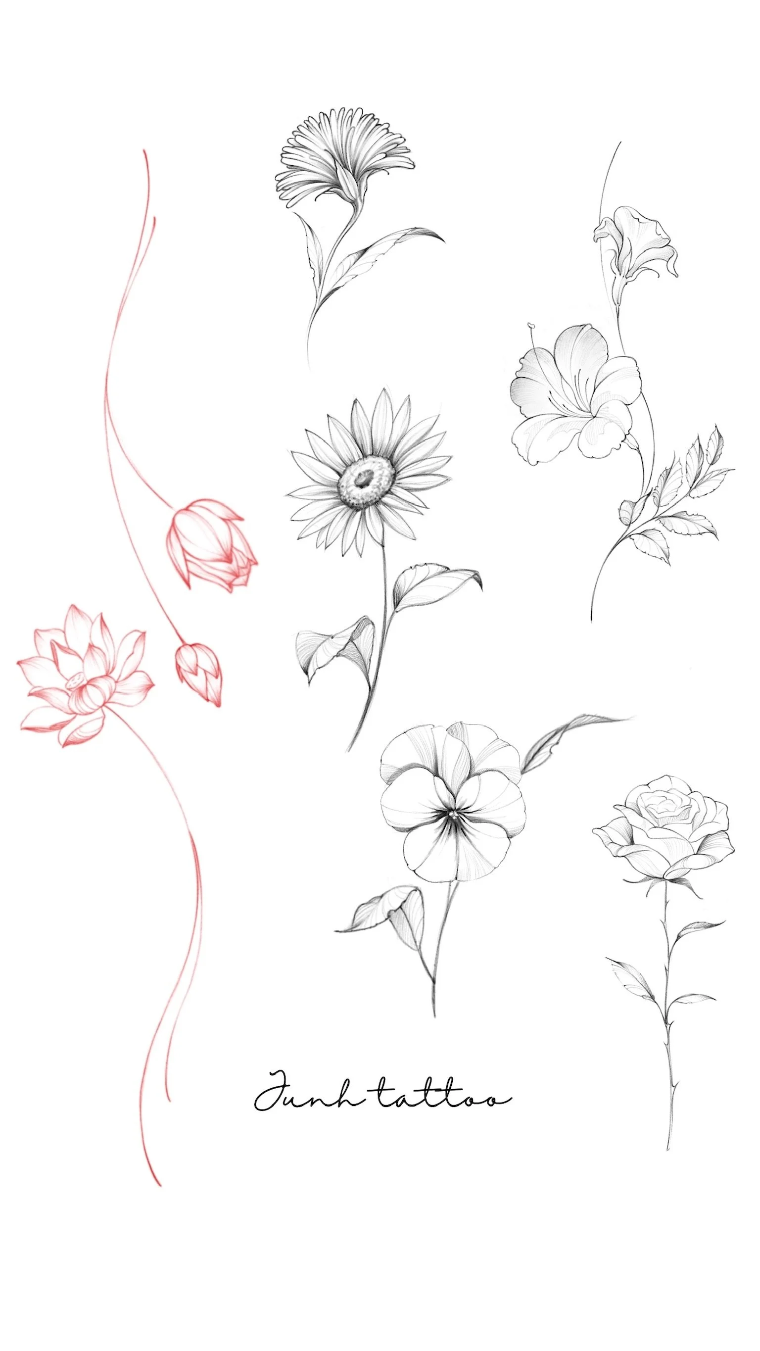 Black and white floral sketches of various flowers with a red sketch of a flowering vine on the left side and the text 'Junk tattoo' at the bottom.