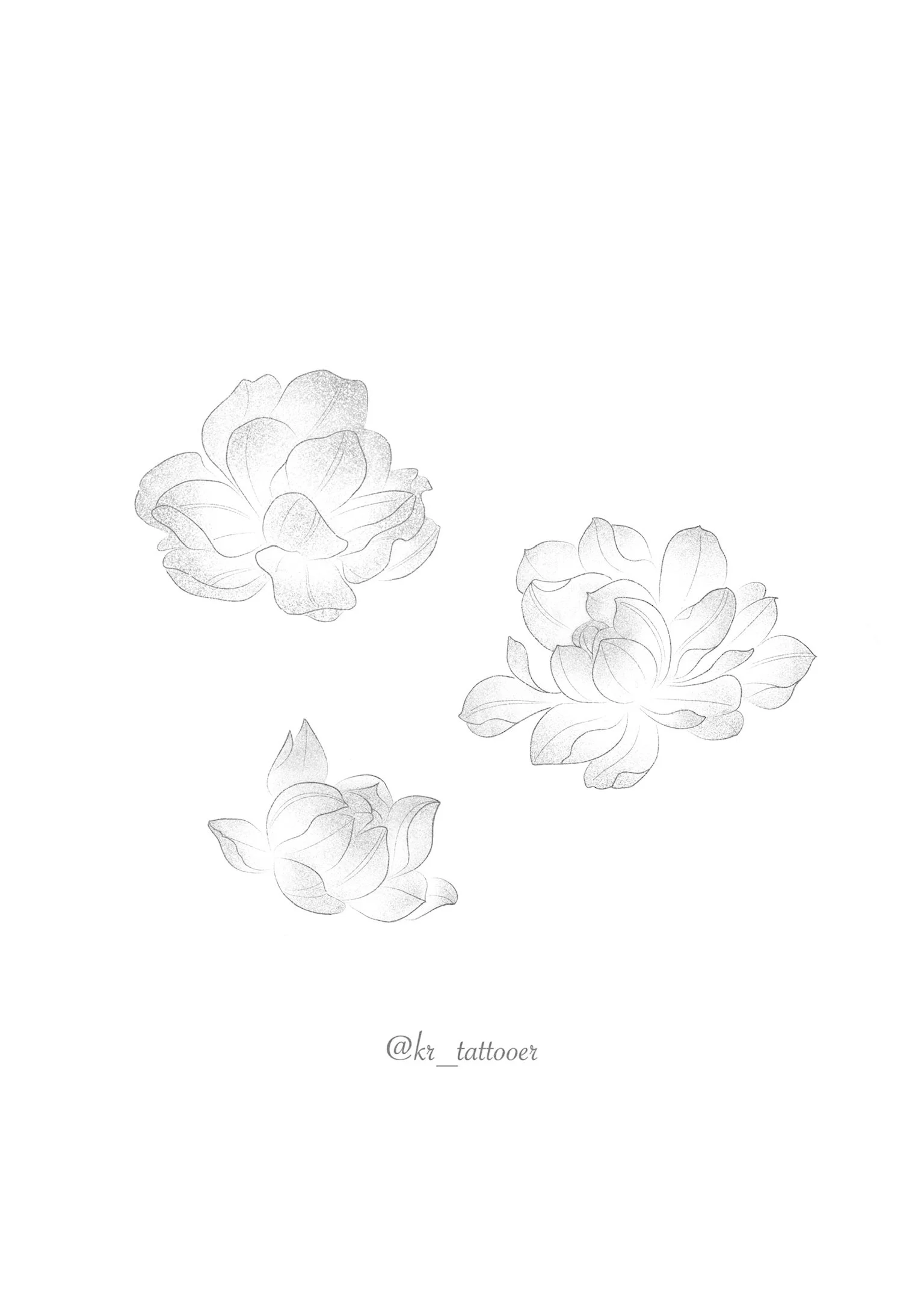 Line drawing of three stylized flowers with flowing petals and leaves, on a white background.
