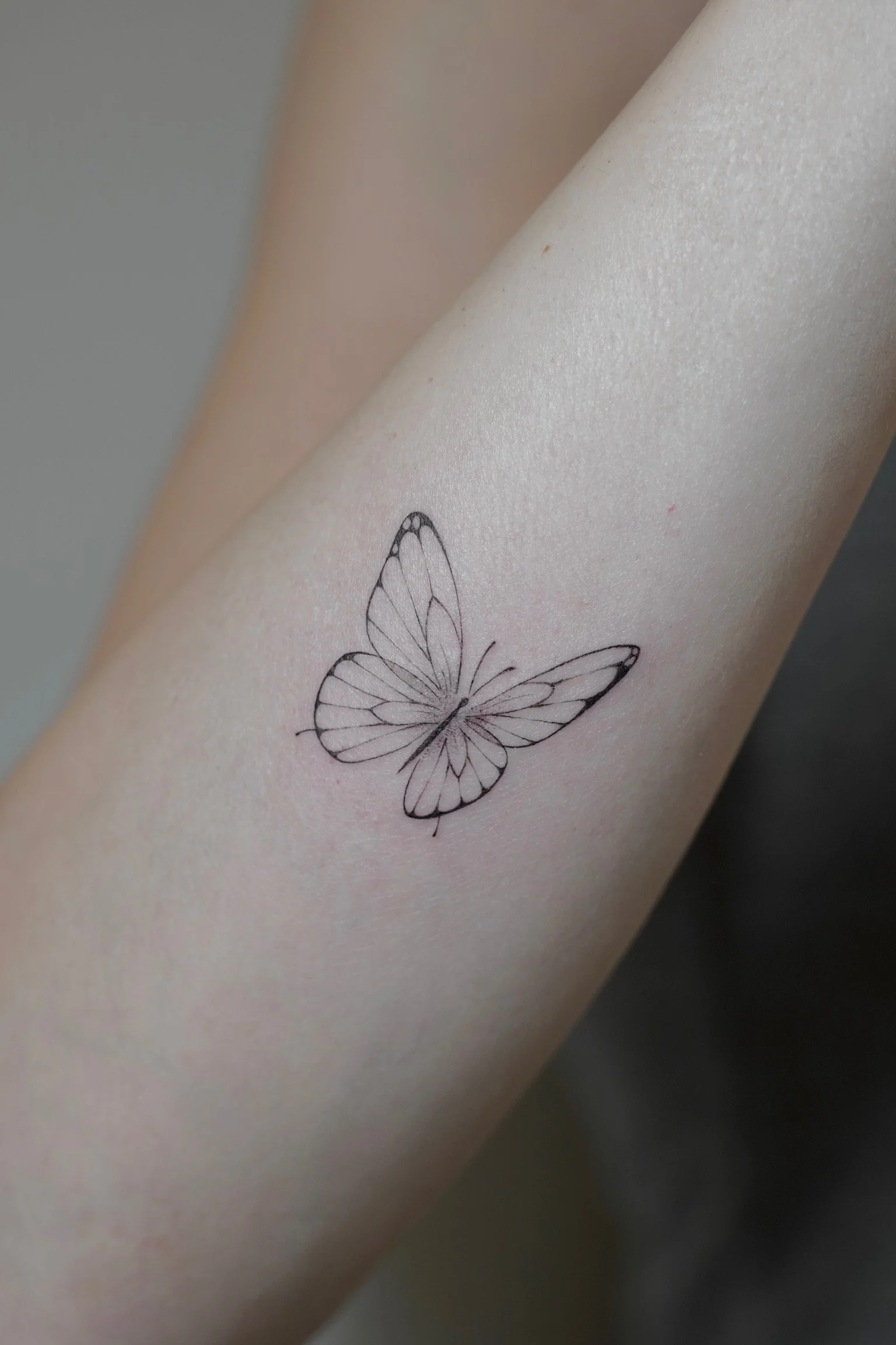 julia-fineline-butterfly-tattoo-soho-nyc-uplift.jpg