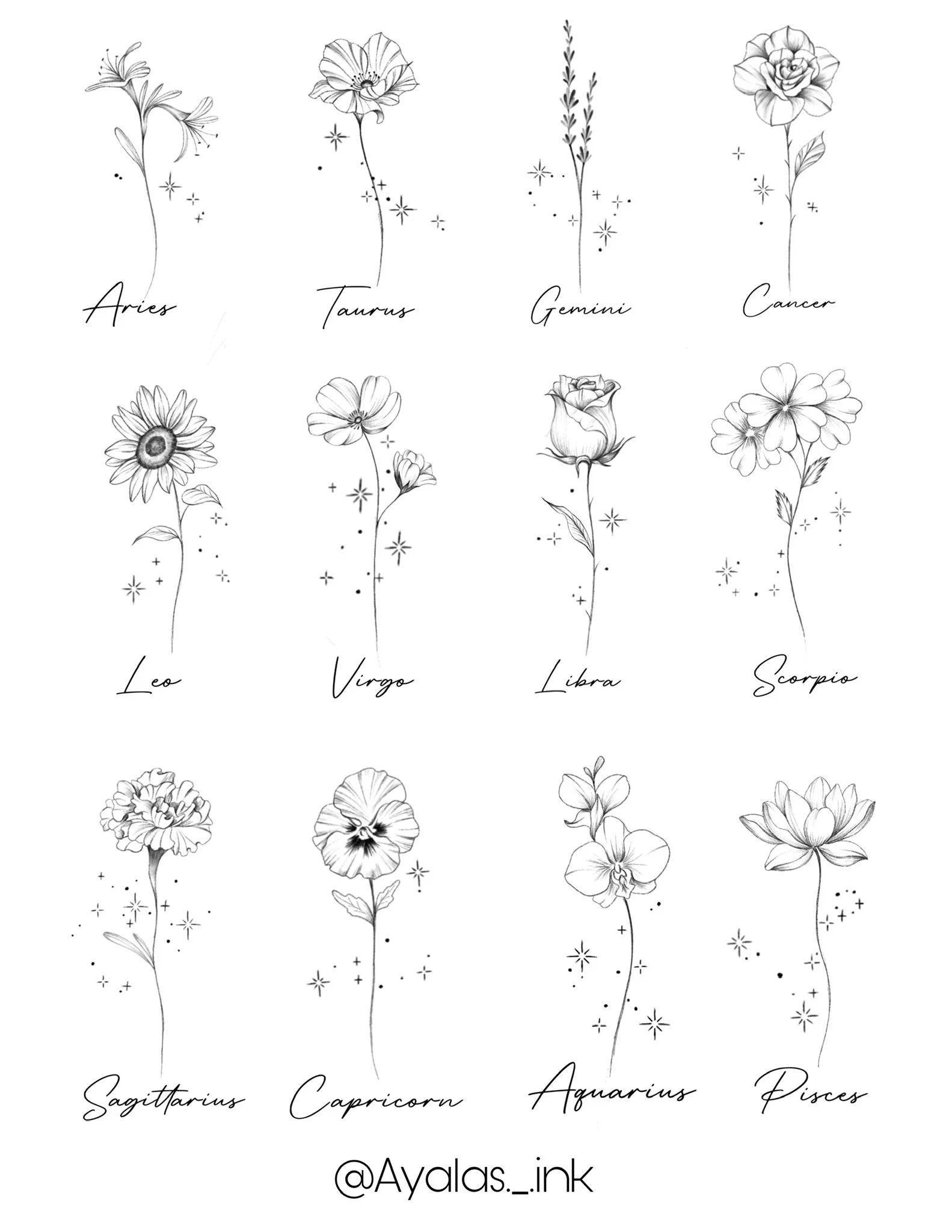 Line art illustrations of flowers representing zodiac signs Aries, Taurus, Gemini, Cancer, Leo, Virgo, Libra, Scorpio, Sagittarius, Capricorn, Aquarius, and Pisces with star accents and the artist's handle '@Aylas_ink' at the bottom.