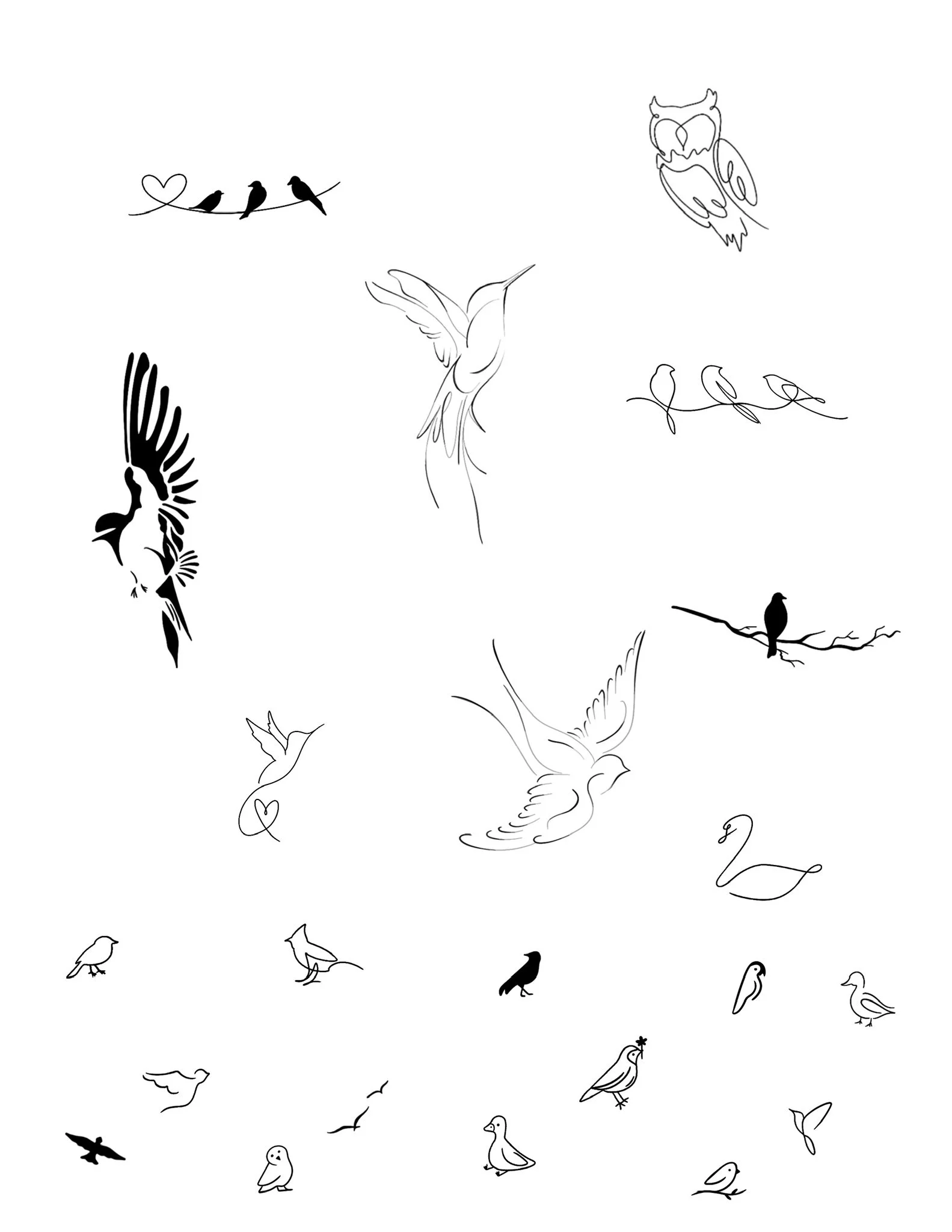 Line art illustrations of various birds, including owls, hummingbirds, swans, and small songbirds, some perched on branches and others flying.