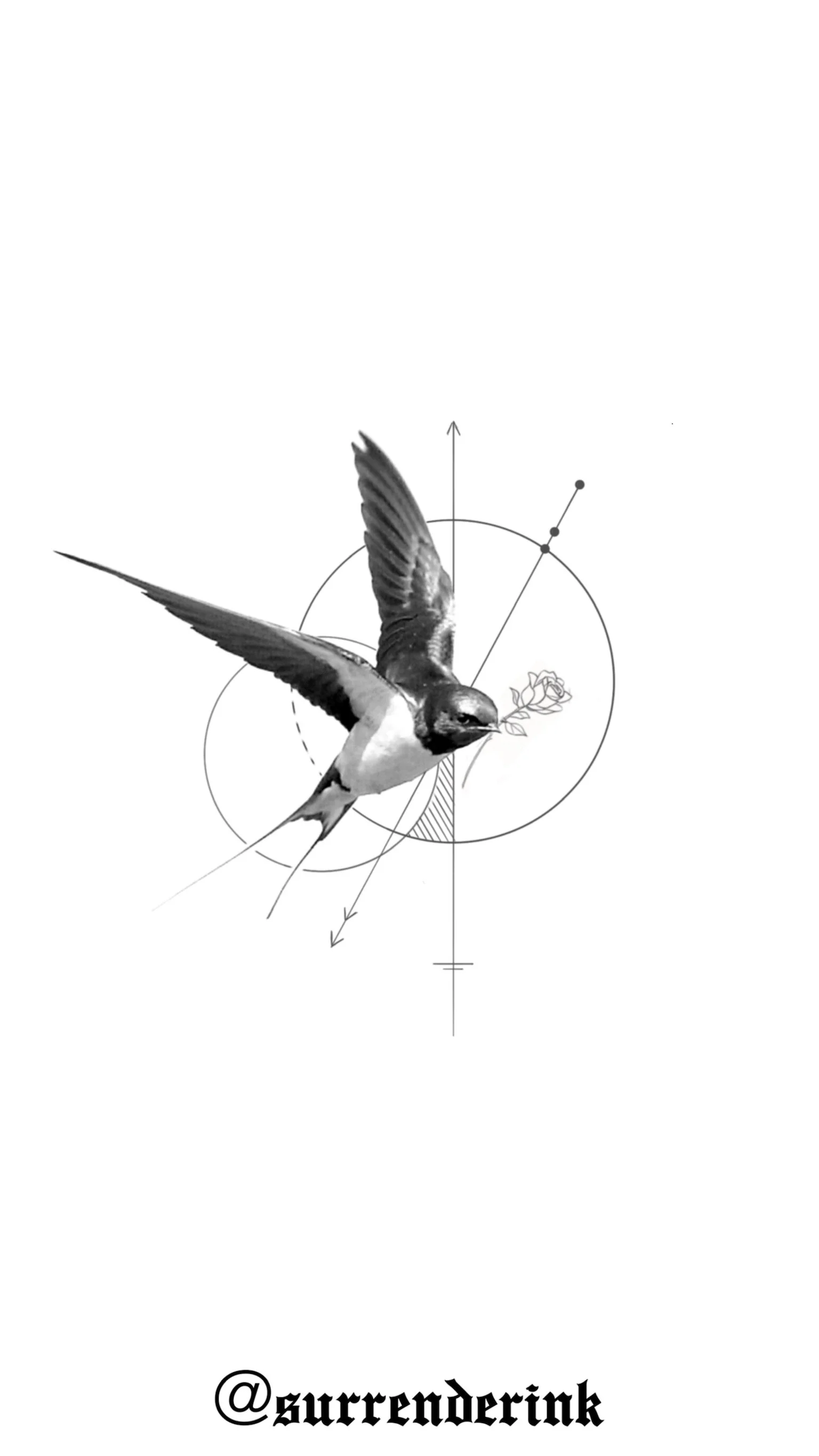 Black and white graphic of a bird holding a rose in its beak, surrounded by geometric shapes and lines, with the text '@surrenderink' at the bottom.